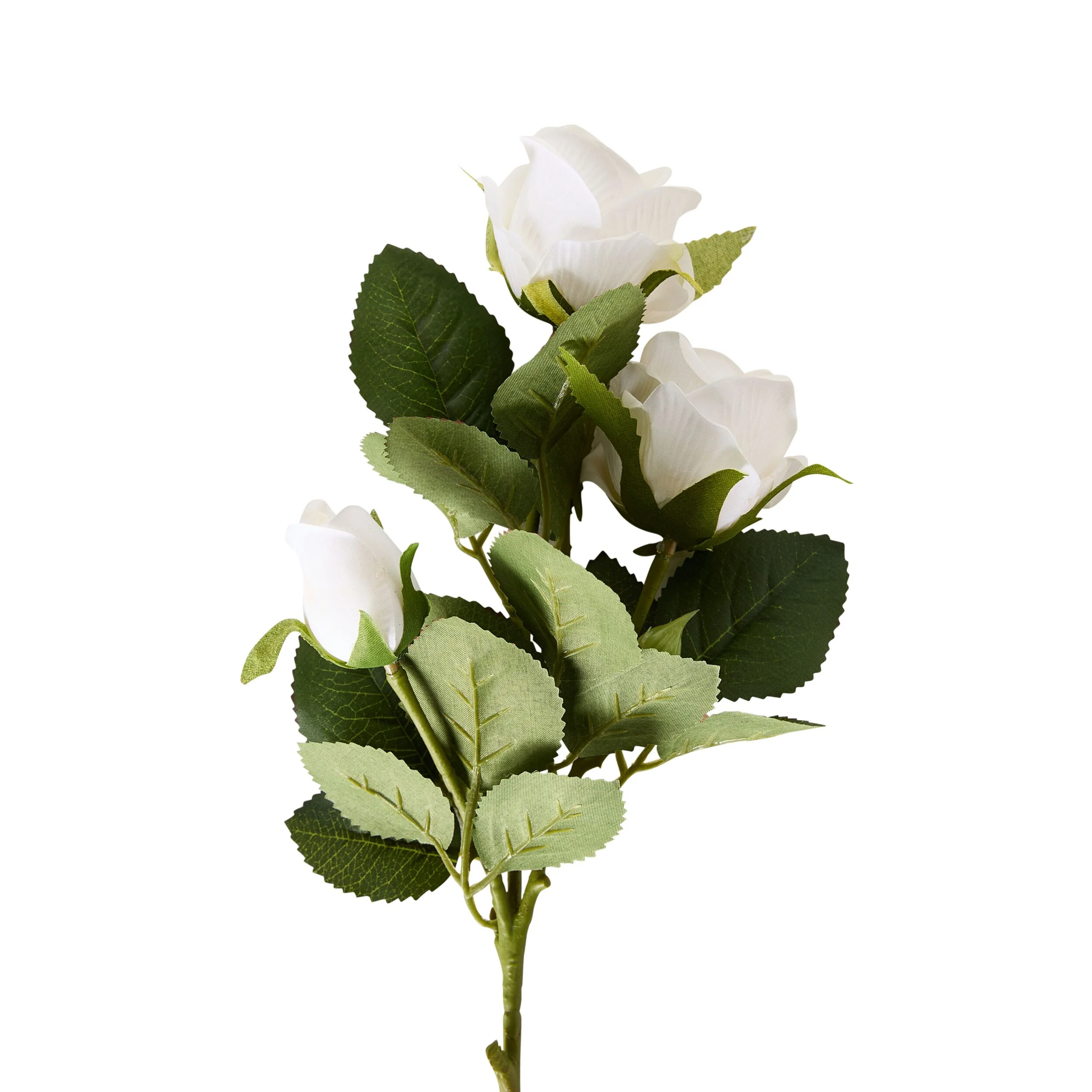 Bloomery Rose Stem White 51cm - Image 2