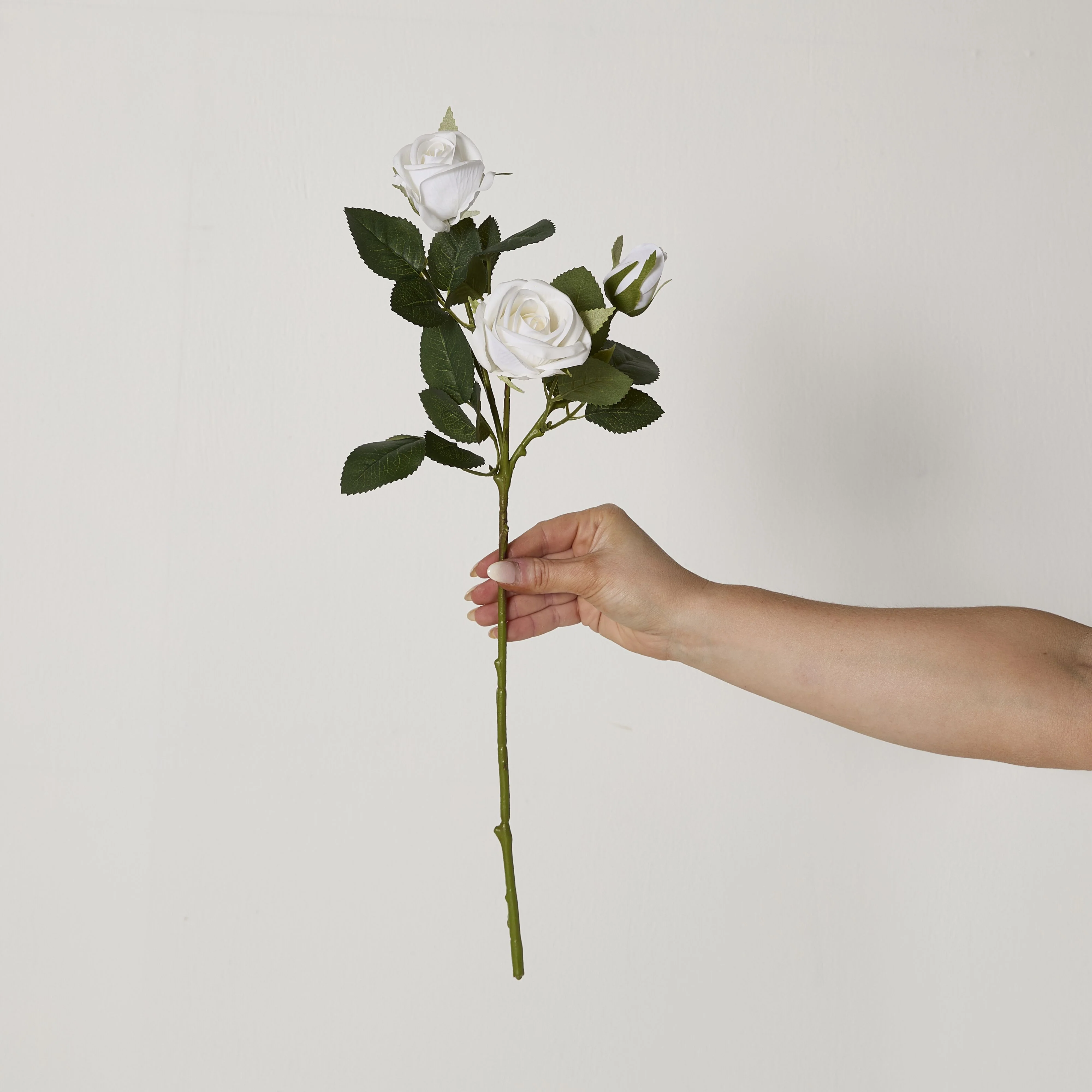 Bloomery Rose Stem White 51cm - Image 4