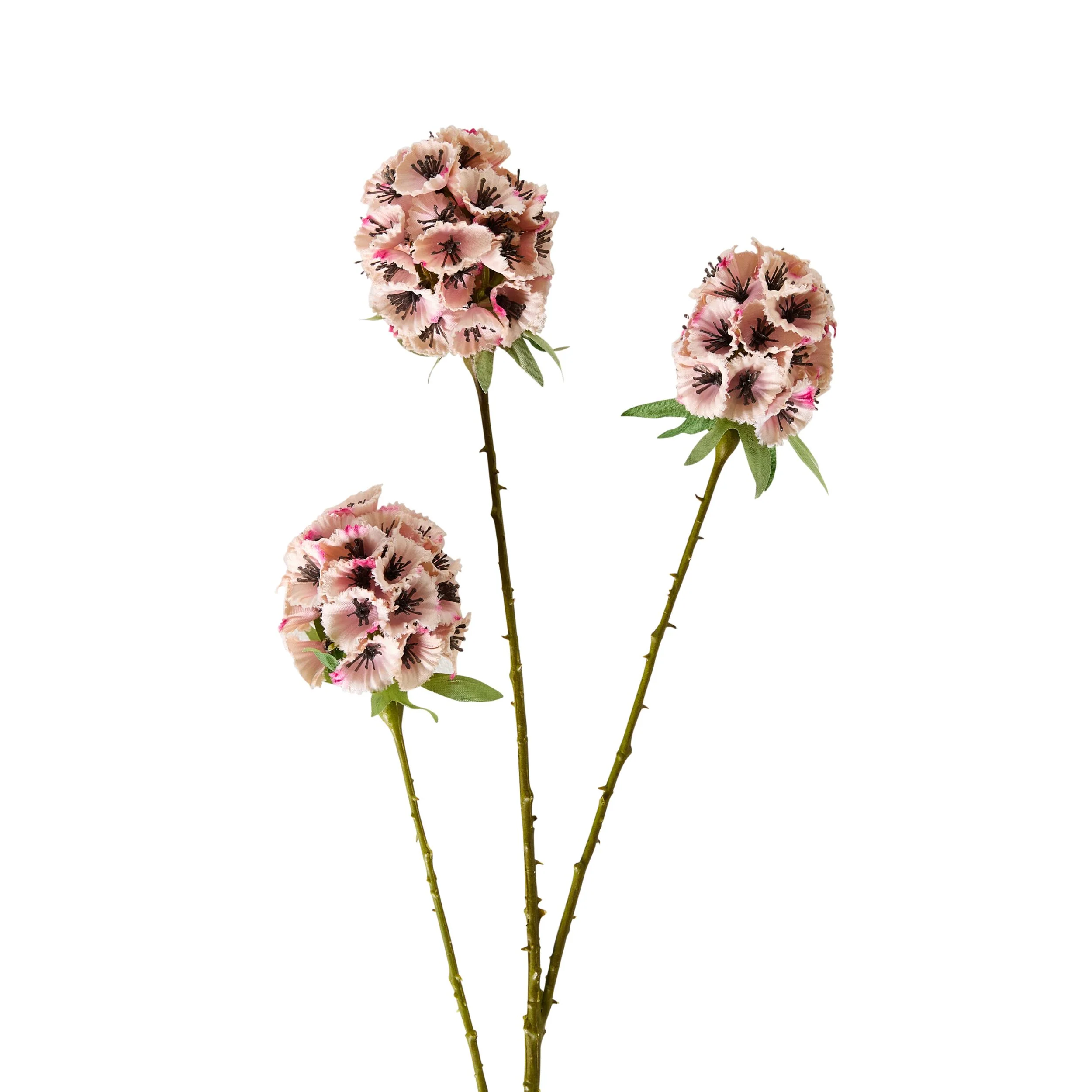 Bloomery Sweet William Stem Pink 71cm - Image 2