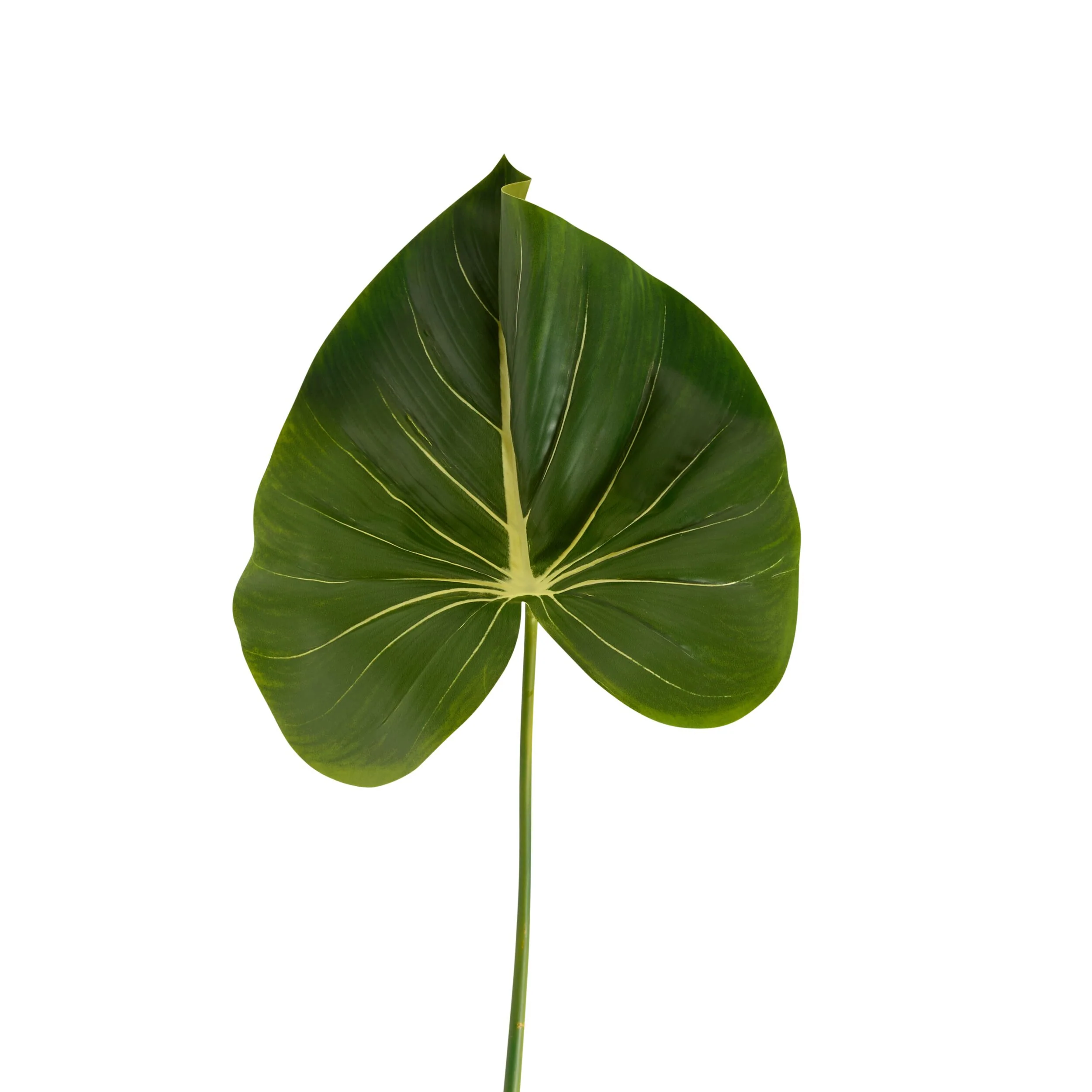 Bloomery Taro Leaf Stem 81cm - Image 2