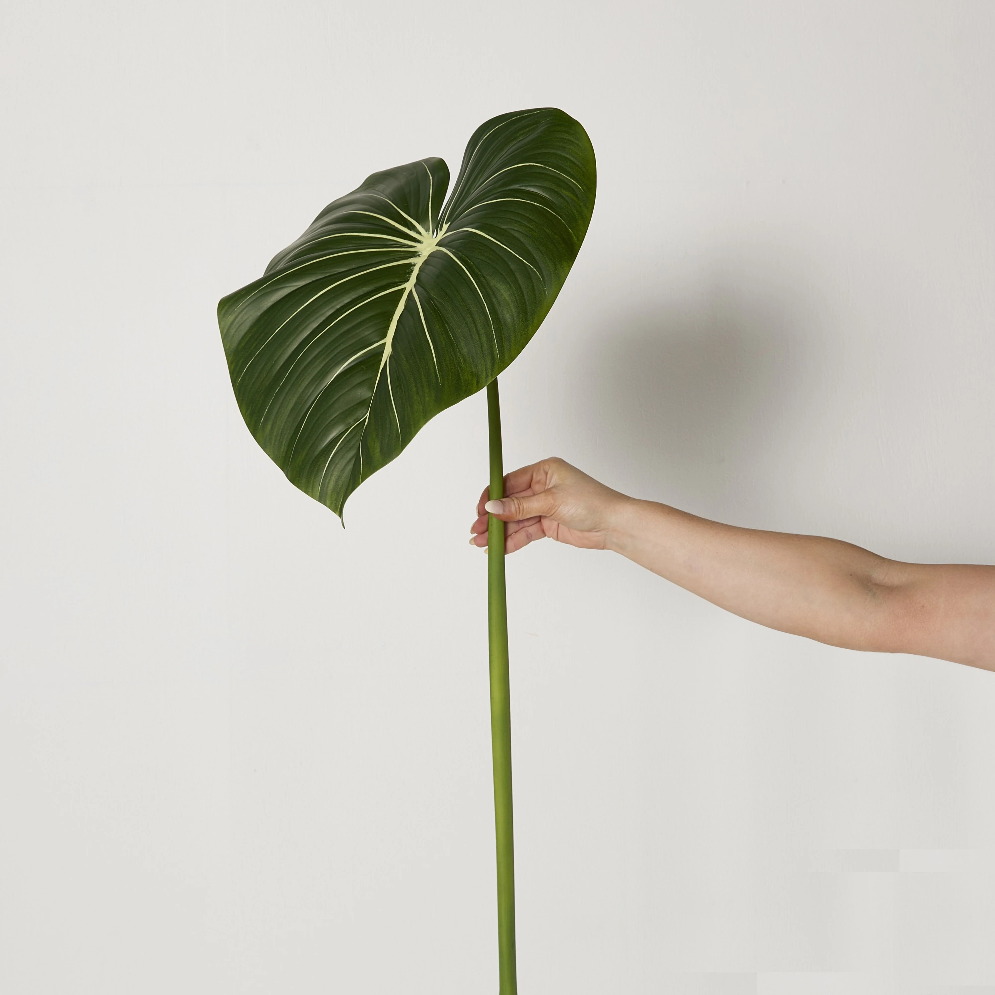 Bloomery Taro Leaf Stem 81cm - Image 3