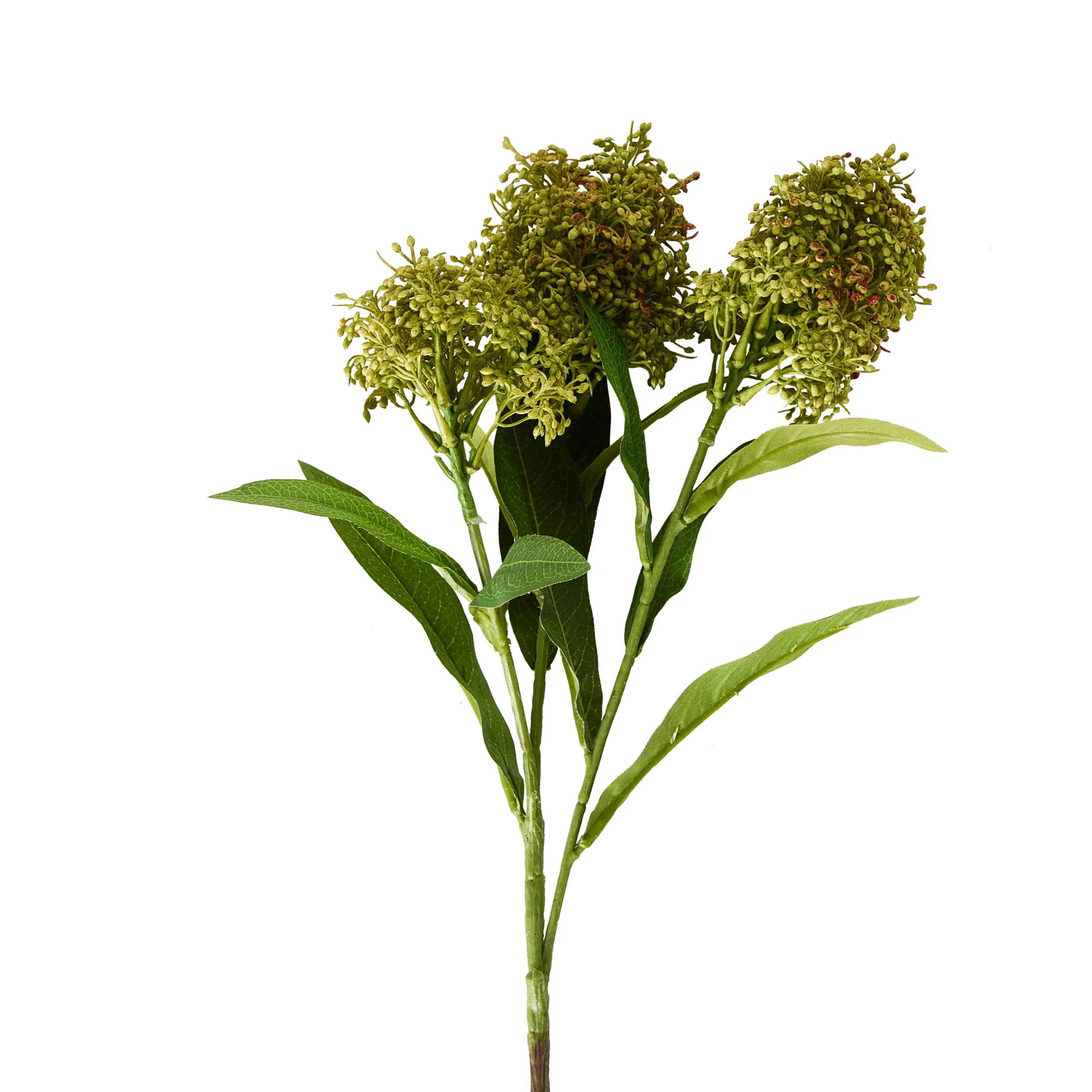 Bloomery Viburnum Stem Green 57cm - Image 2