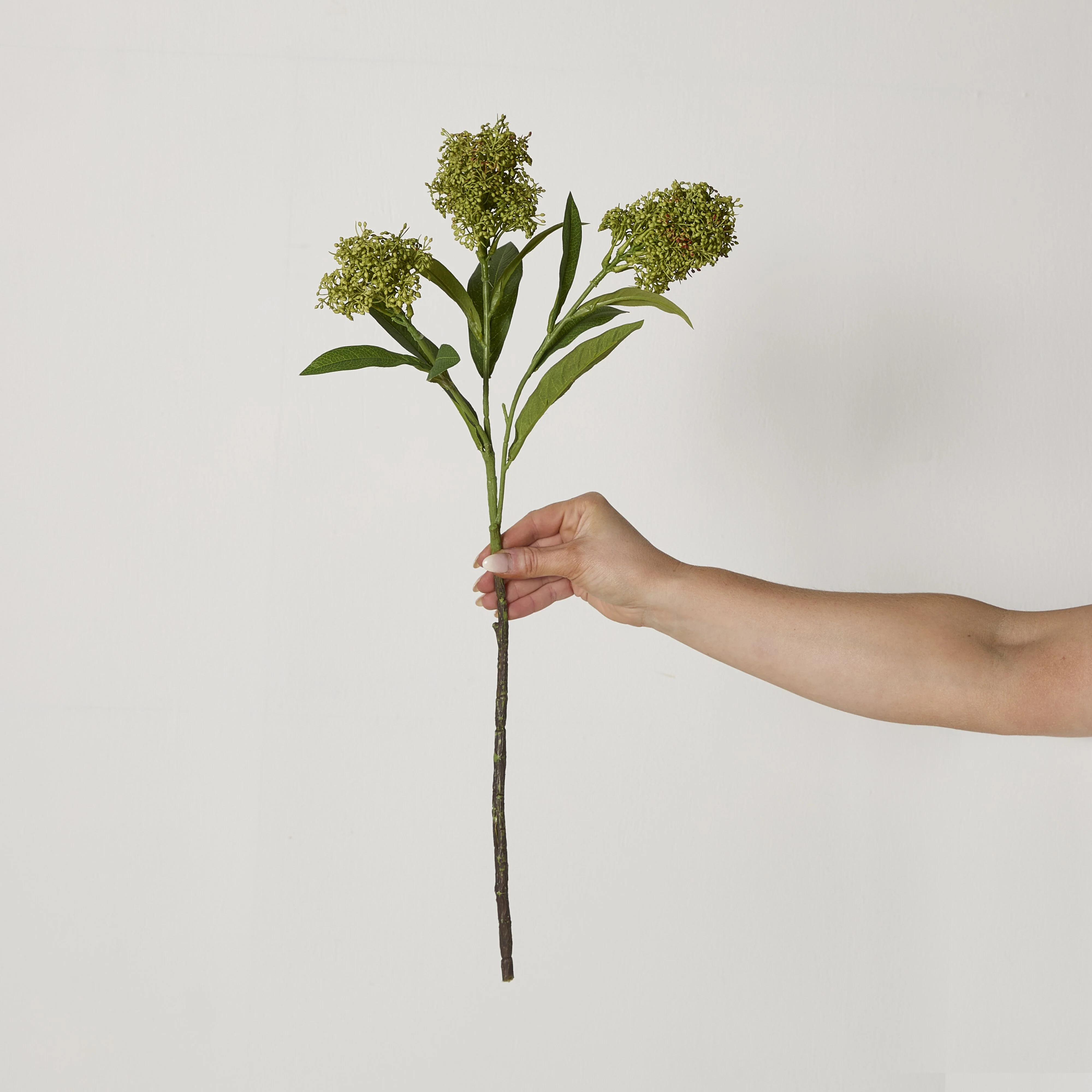 Bloomery Viburnum Stem Green 57cm - Image 3