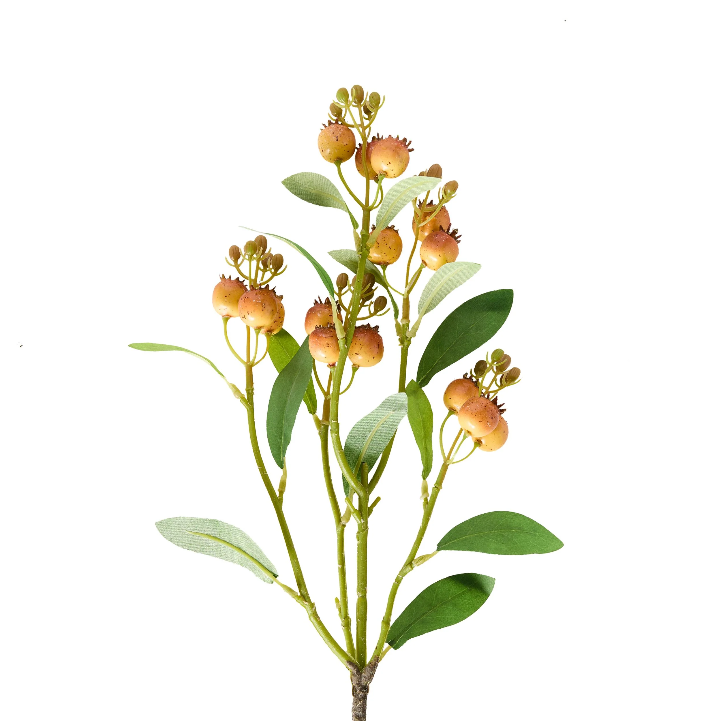 Bloomery Yellow Gumnut Pod Stem 64cm - Image 2