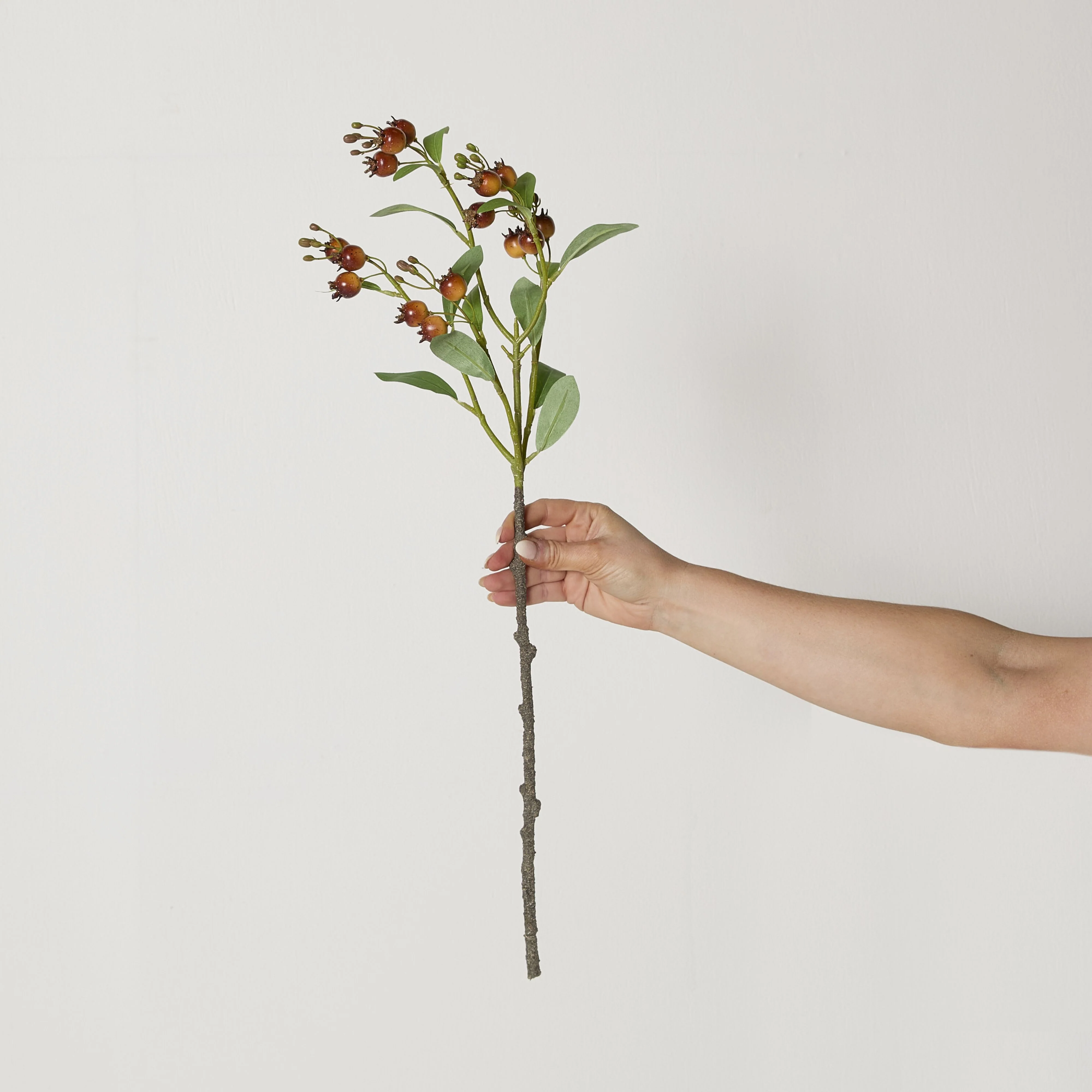 Bloomery Yellow Gumnut Pod Stem 64cm - Image 3