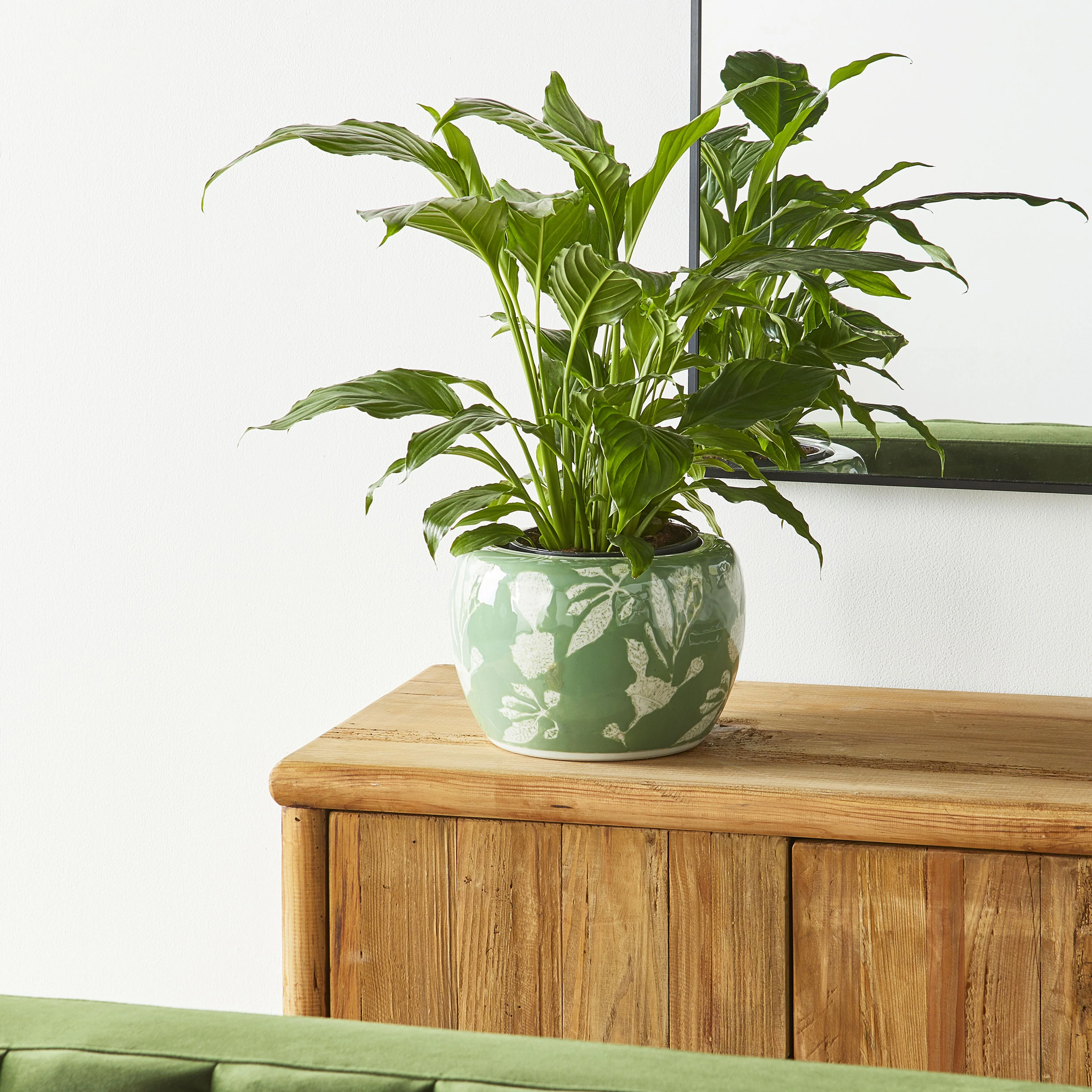 Celadon Verde Plant Pot 24.5x24.5x17cm - Image 3