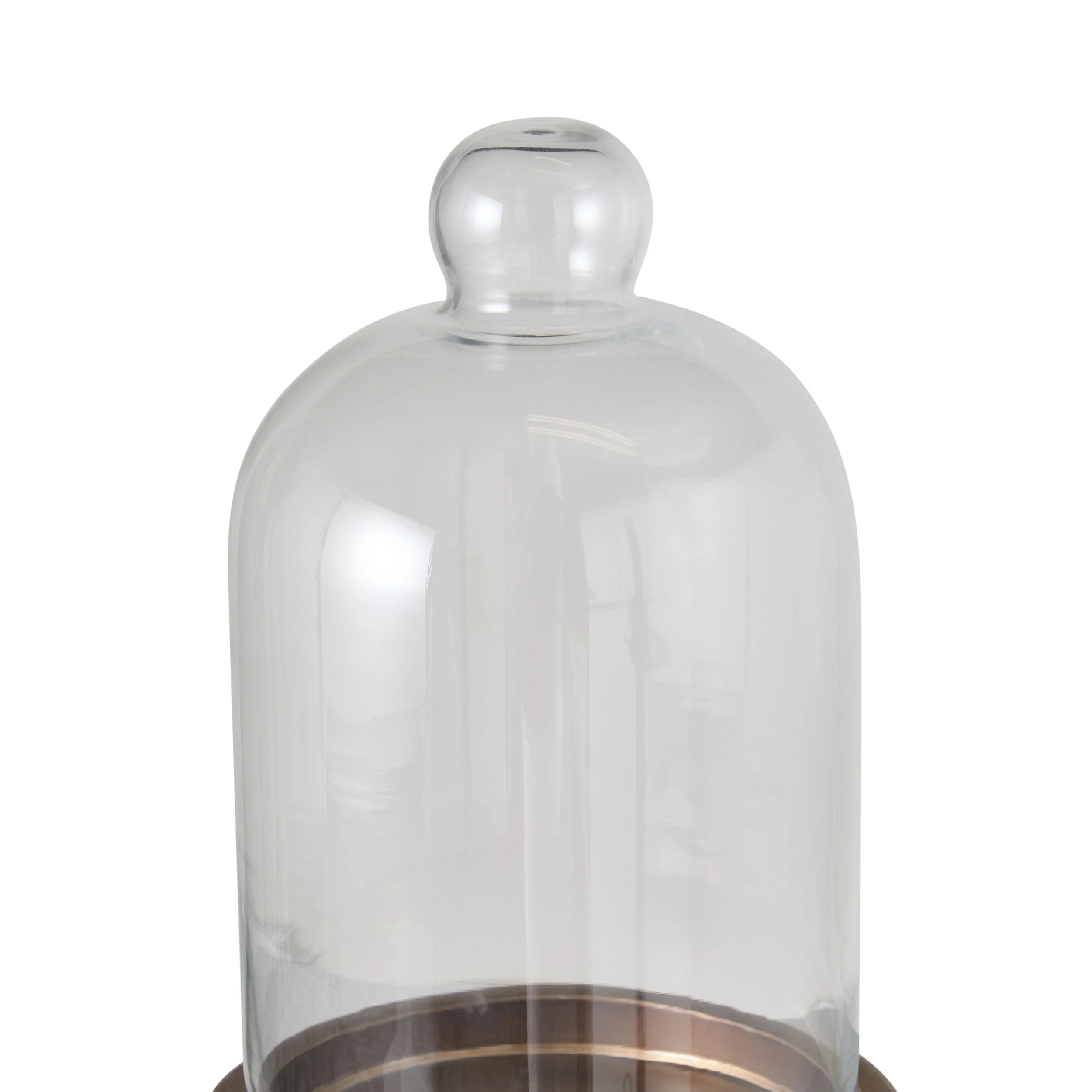 Darwin Glass Cloche - Image 2