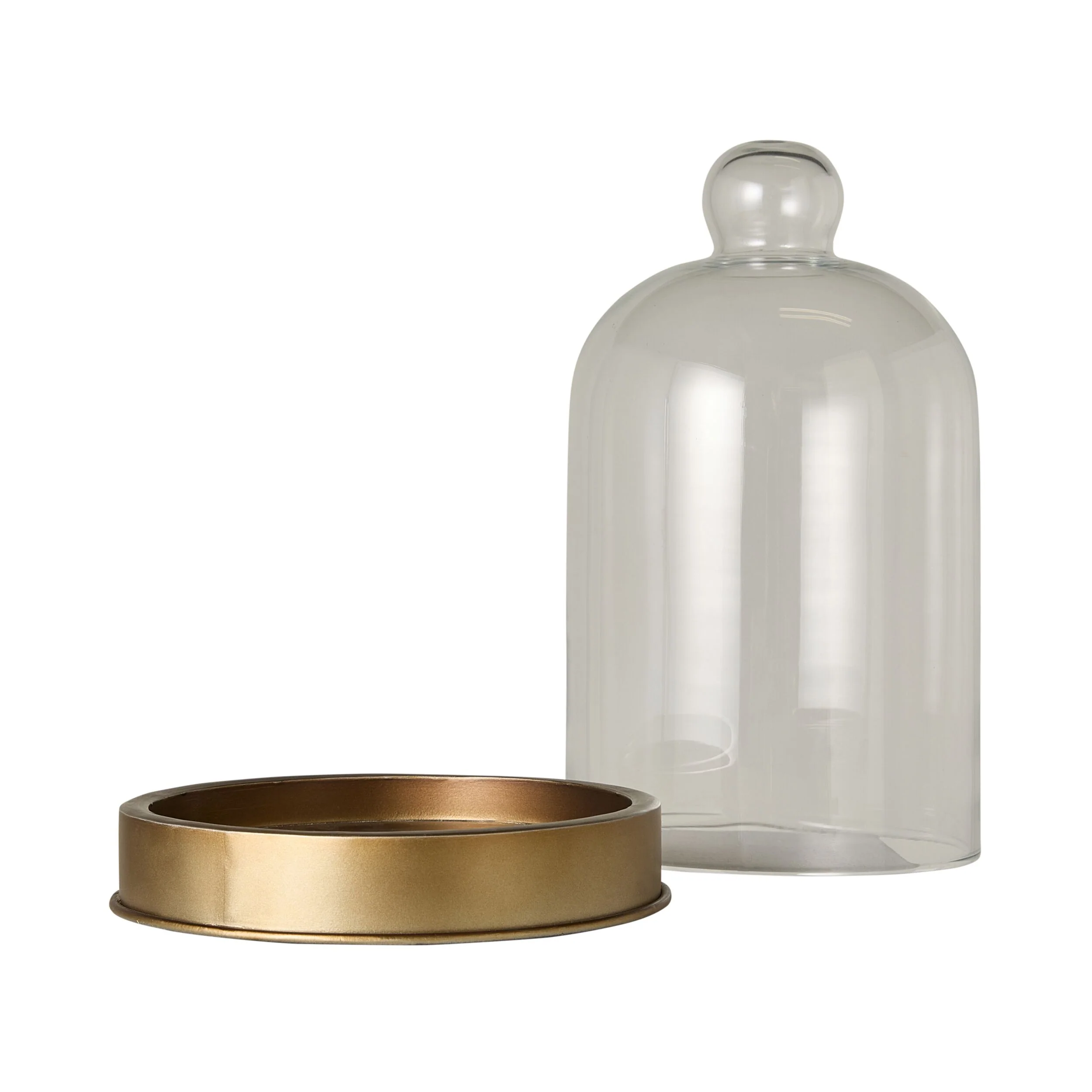 Darwin Glass Cloche - Image 4