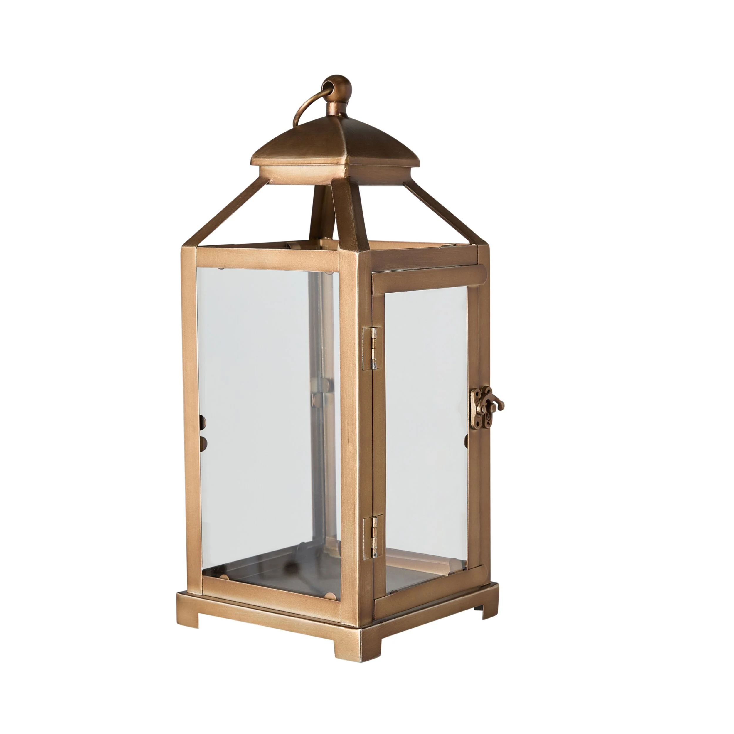 Darwin Lantern - Image 2
