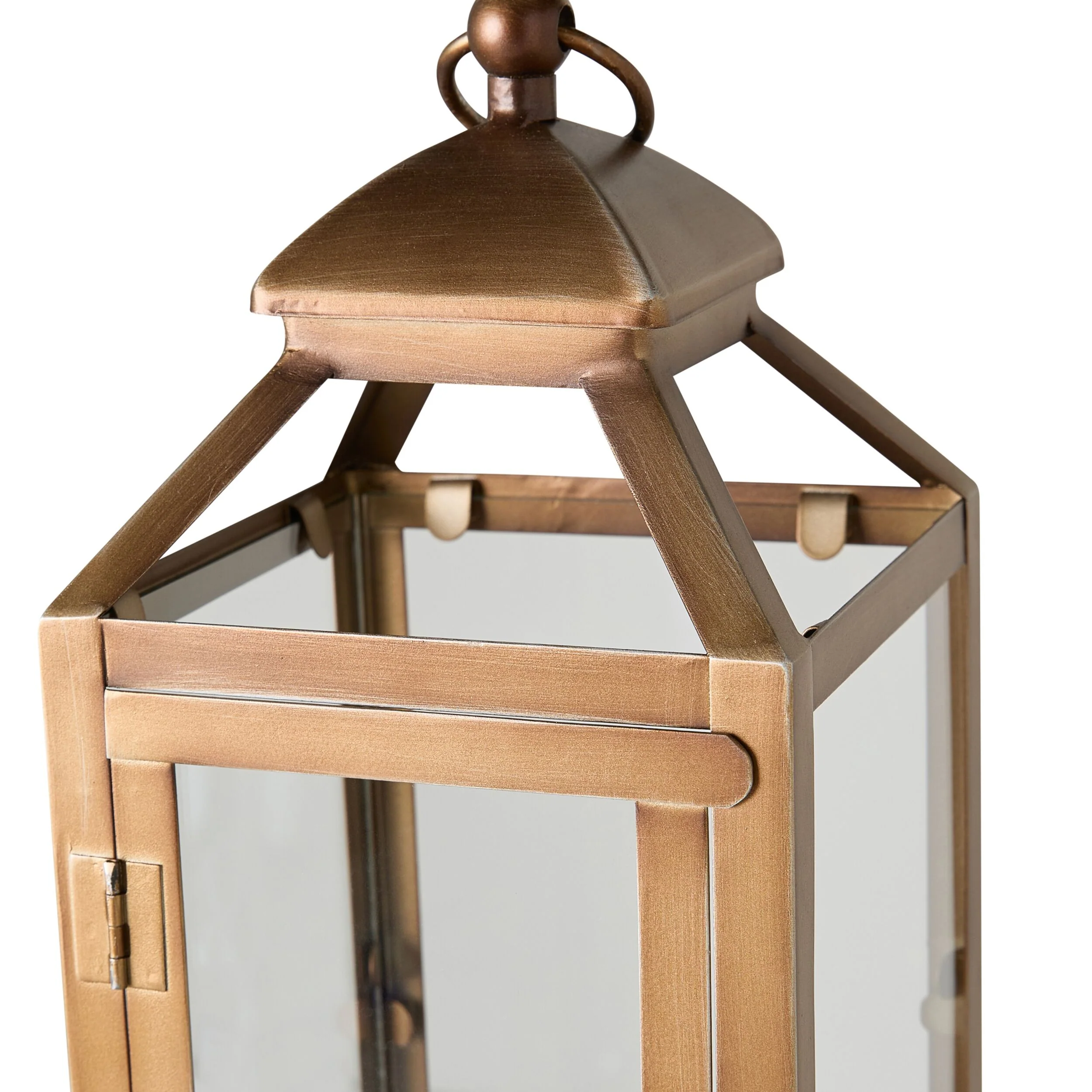 Darwin Lantern - Image 4