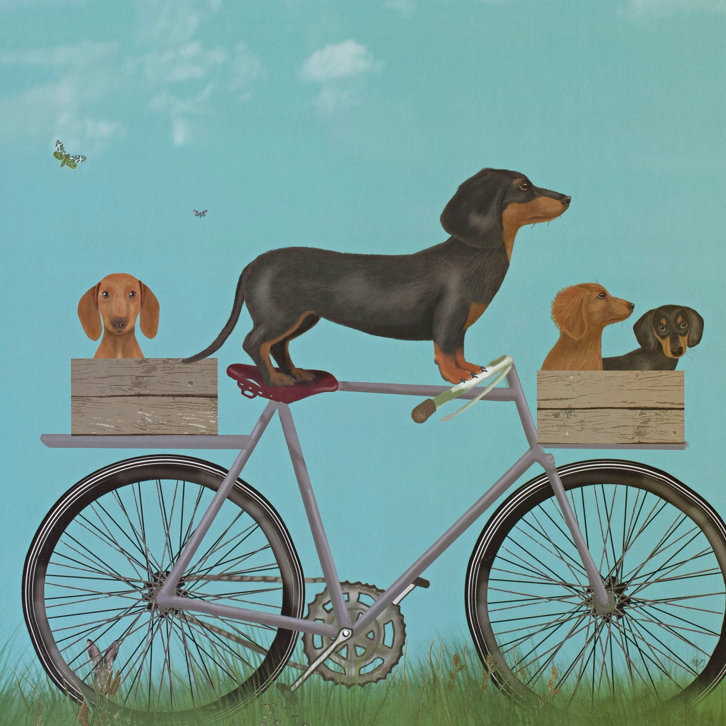 Dachshunds On Bicycle Framed Print 55x45cm - Image 2