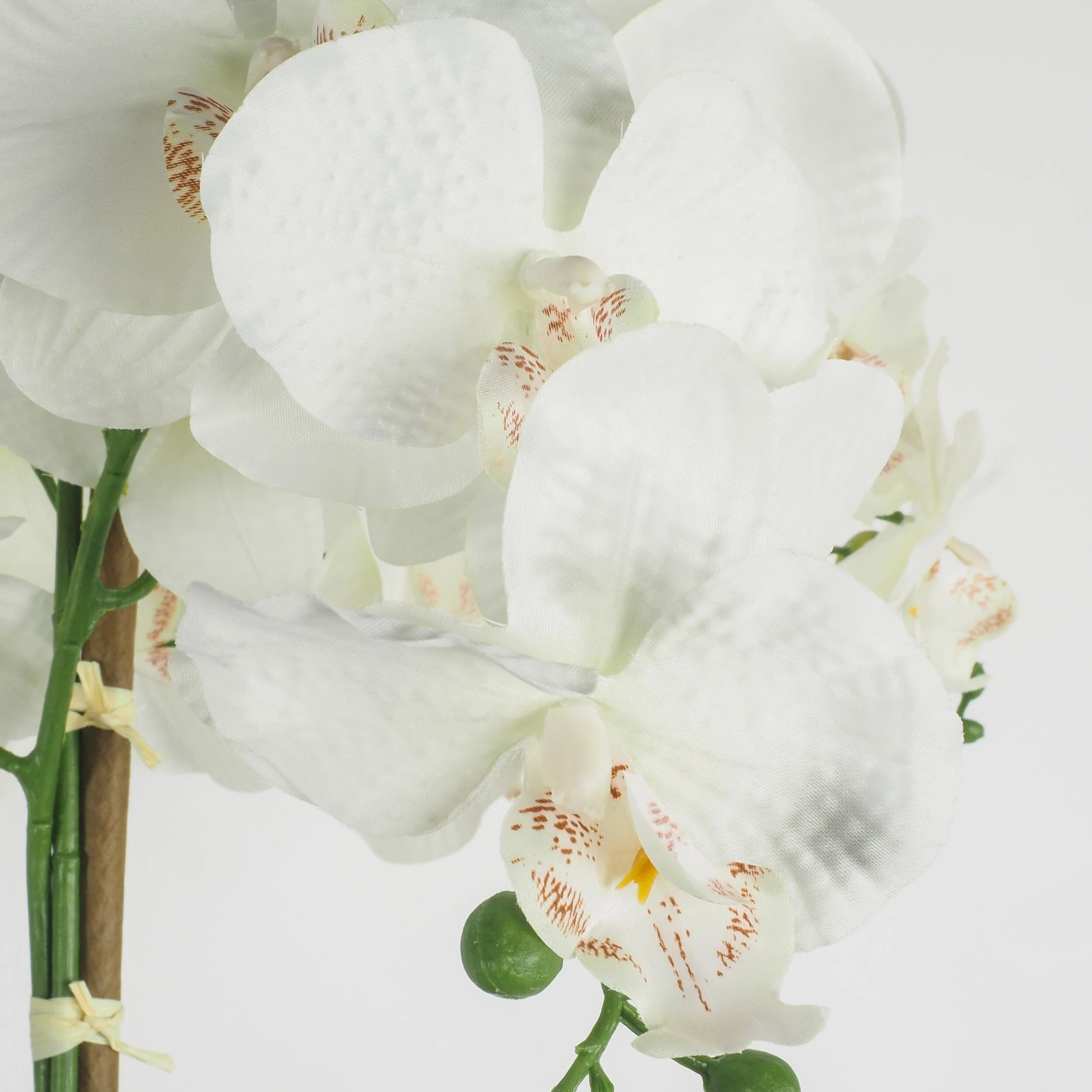 De Fleurs Orchid White Potted 68x71x79cm - Image 2