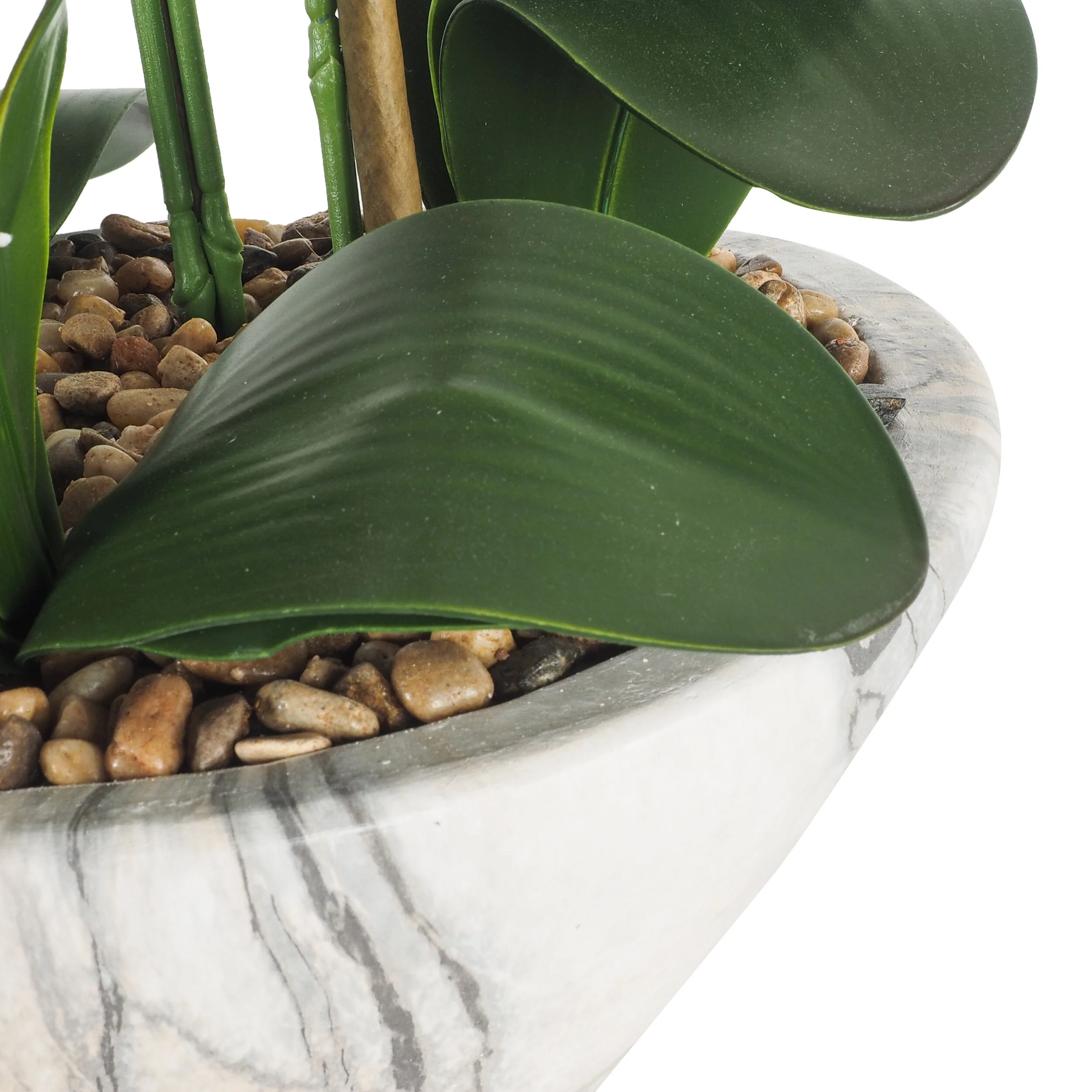 De Fleurs Orchid White Potted 68x71x79cm - Image 3