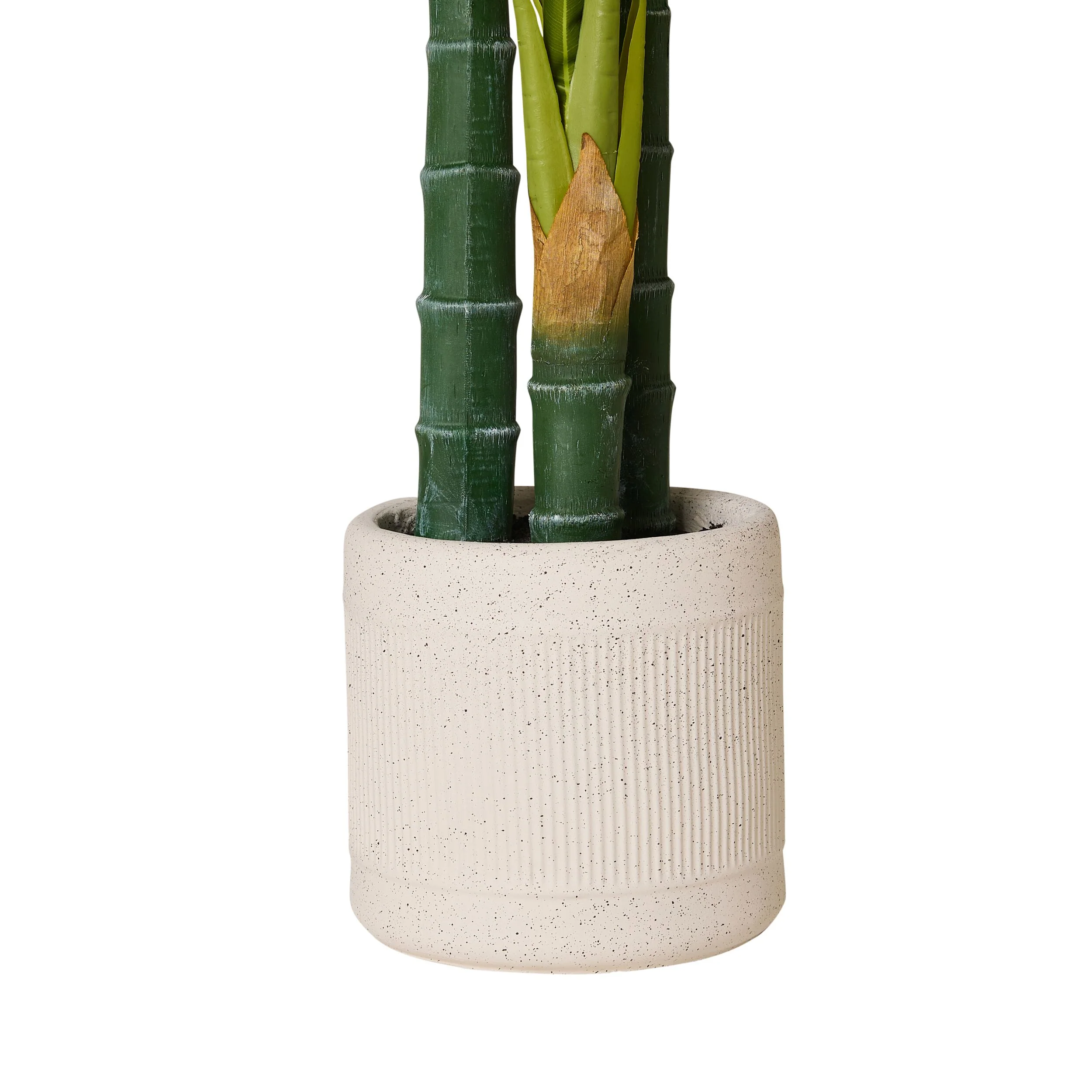 Eden Bird of Paradise 150cm - Image 3