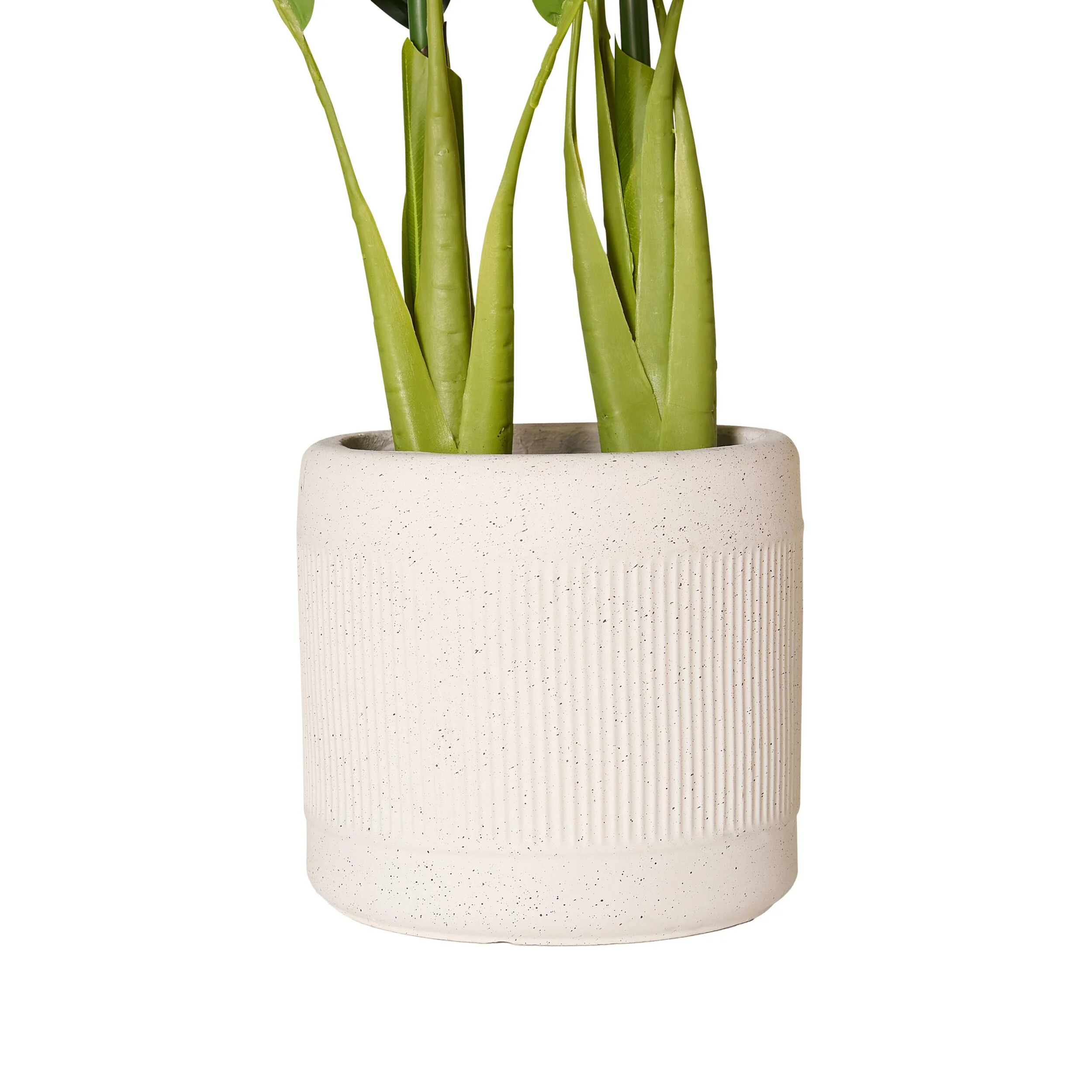 Eden Bird of Paradise 95cm - Image 2