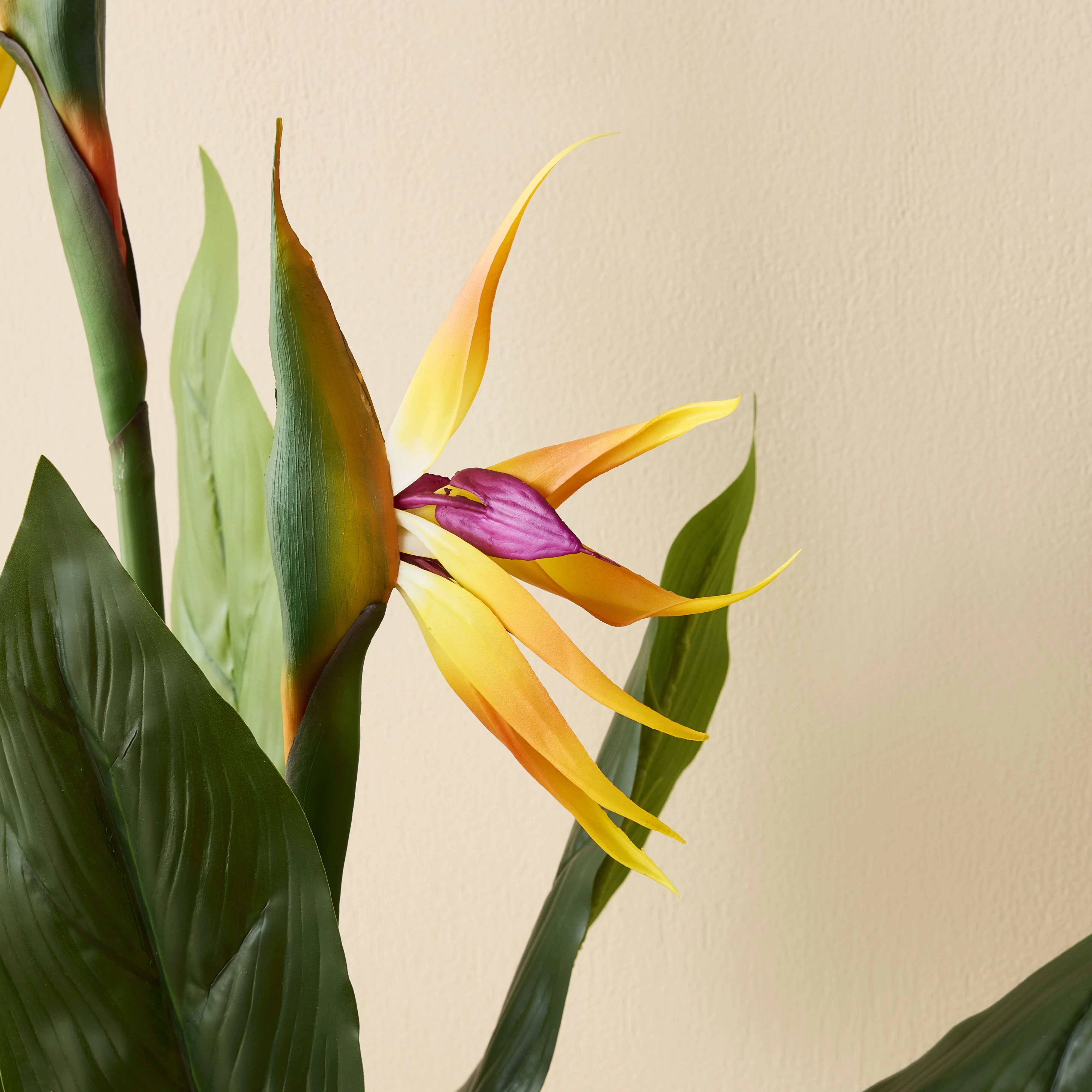 Eden Bird of Paradise 95cm - Image 6