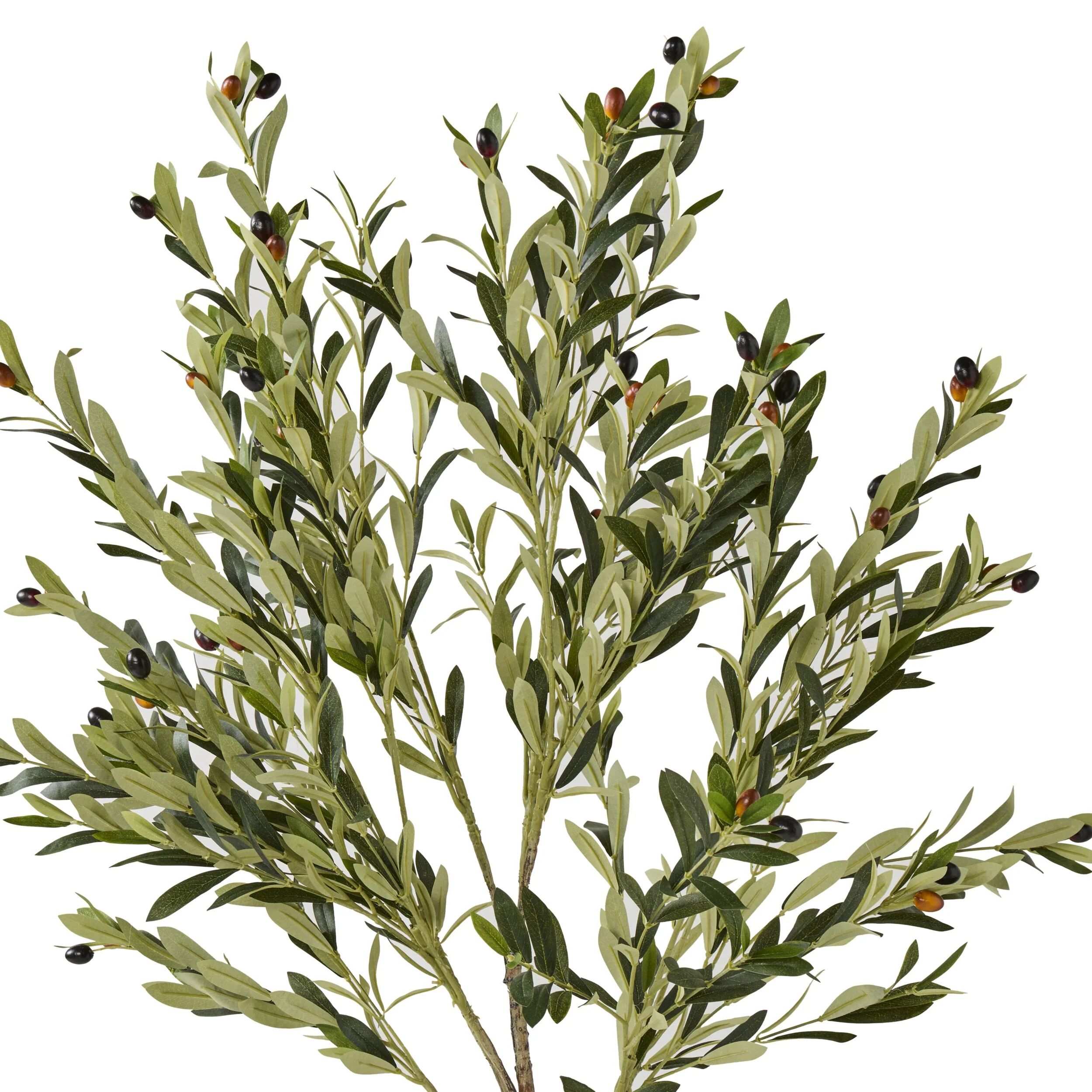Eden Olive Tree 130cm - Image 2