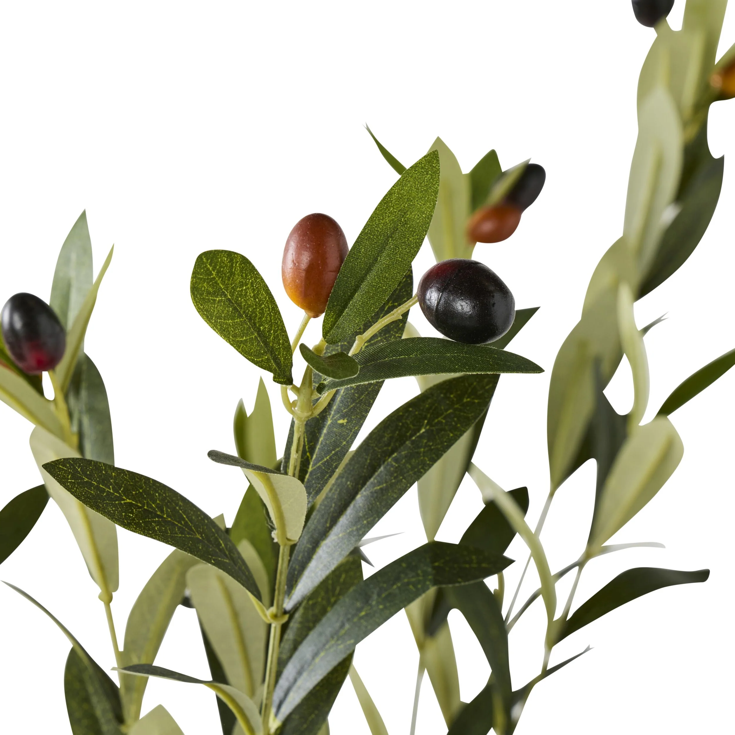 Eden Olive Tree 130cm - Image 3