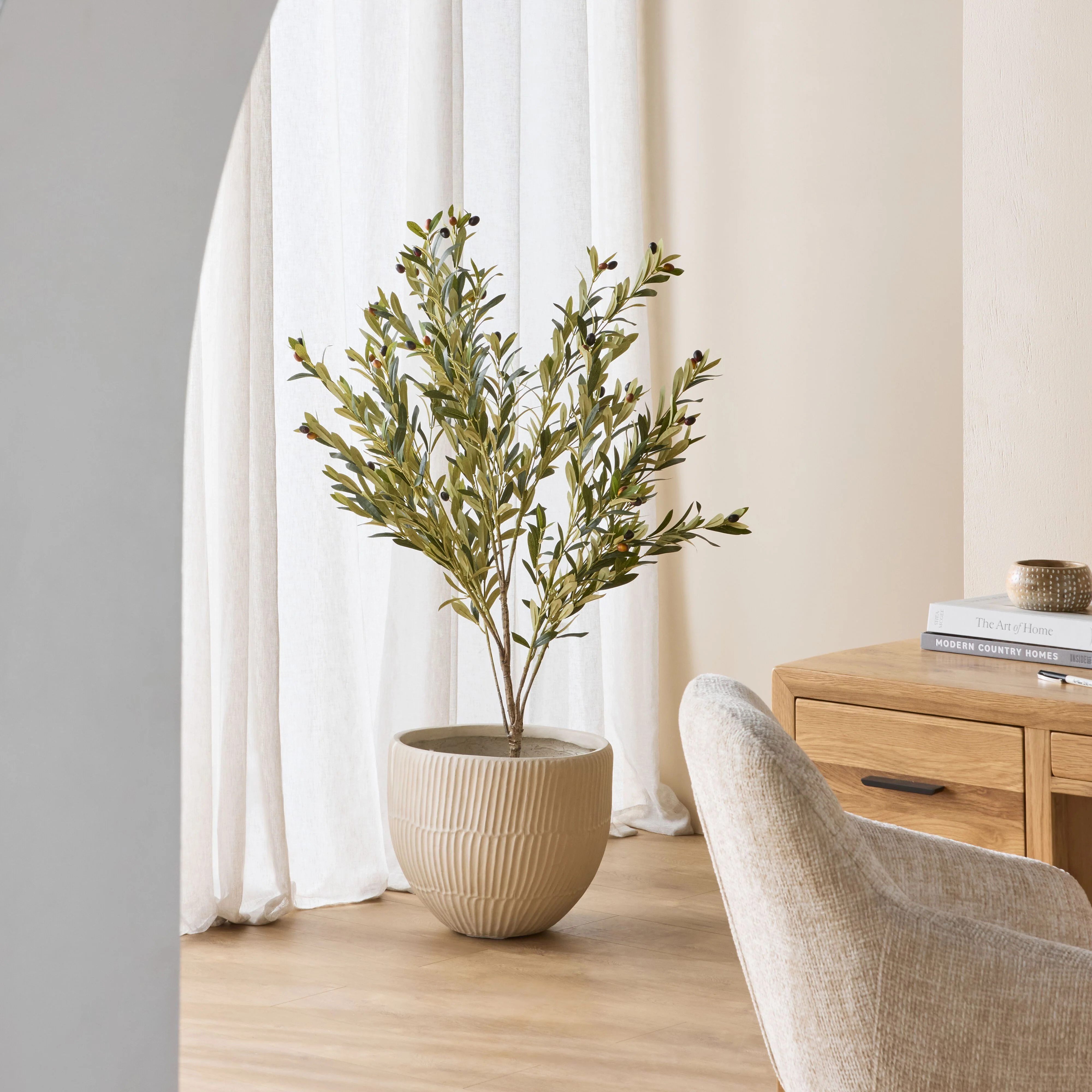 Eden Olive Tree 130cm - Image 5
