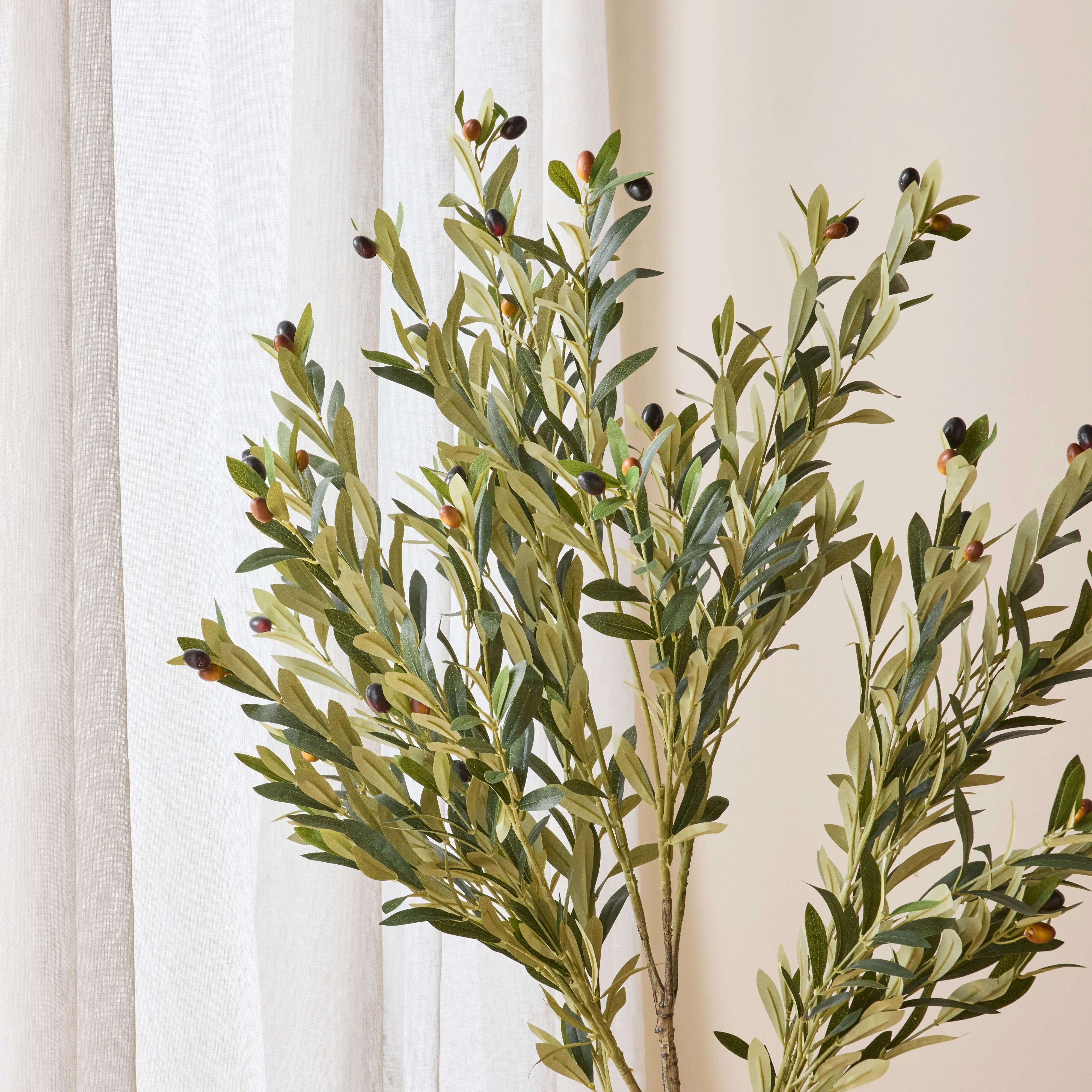 Eden Olive Tree 130cm - Image 6