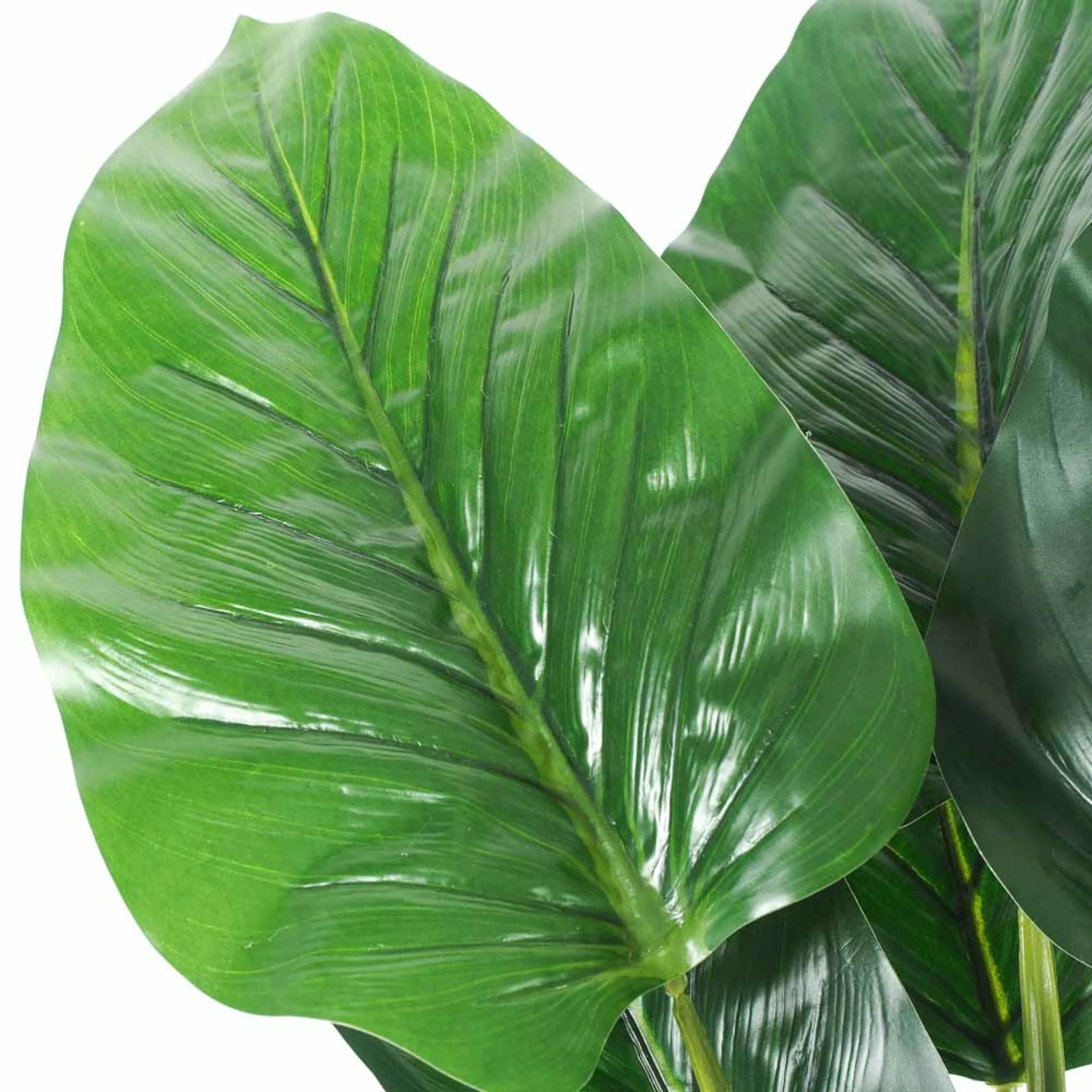 Eden Philodendron Potted Plant 60cm - Image 2
