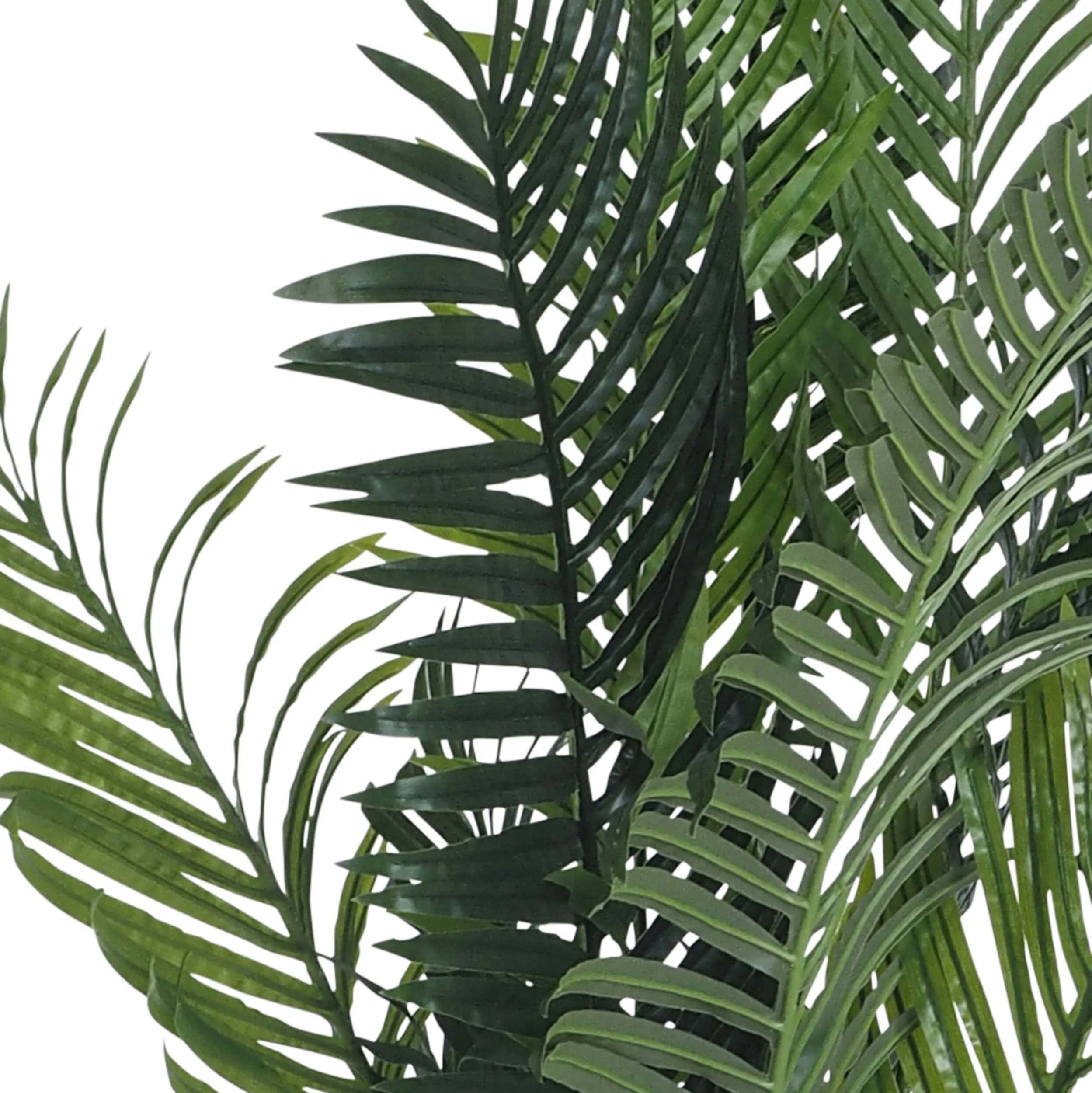 Eden Potted Areca Palm 175cm - Image 2