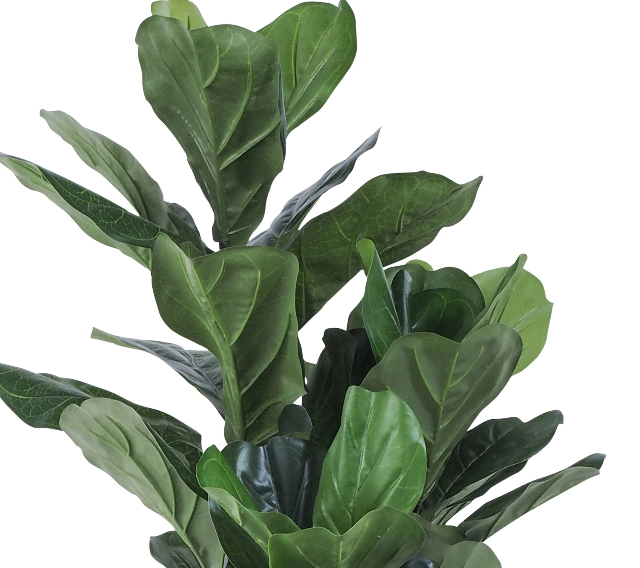Eden Potted Fiddle Leaf Tree 120cm - Image 2