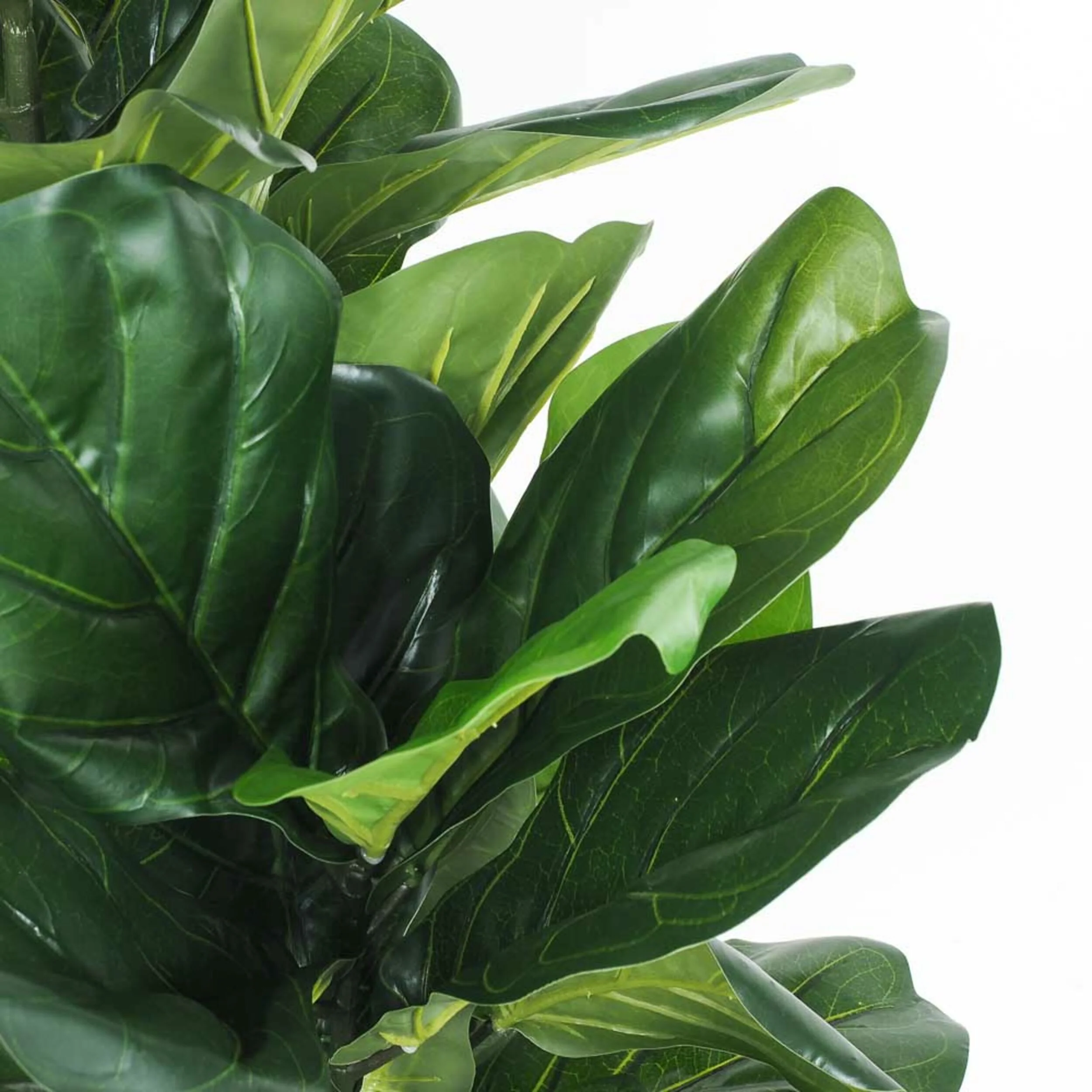 Eden Potted Fiddle Leaf Tree 95cm - Image 2
