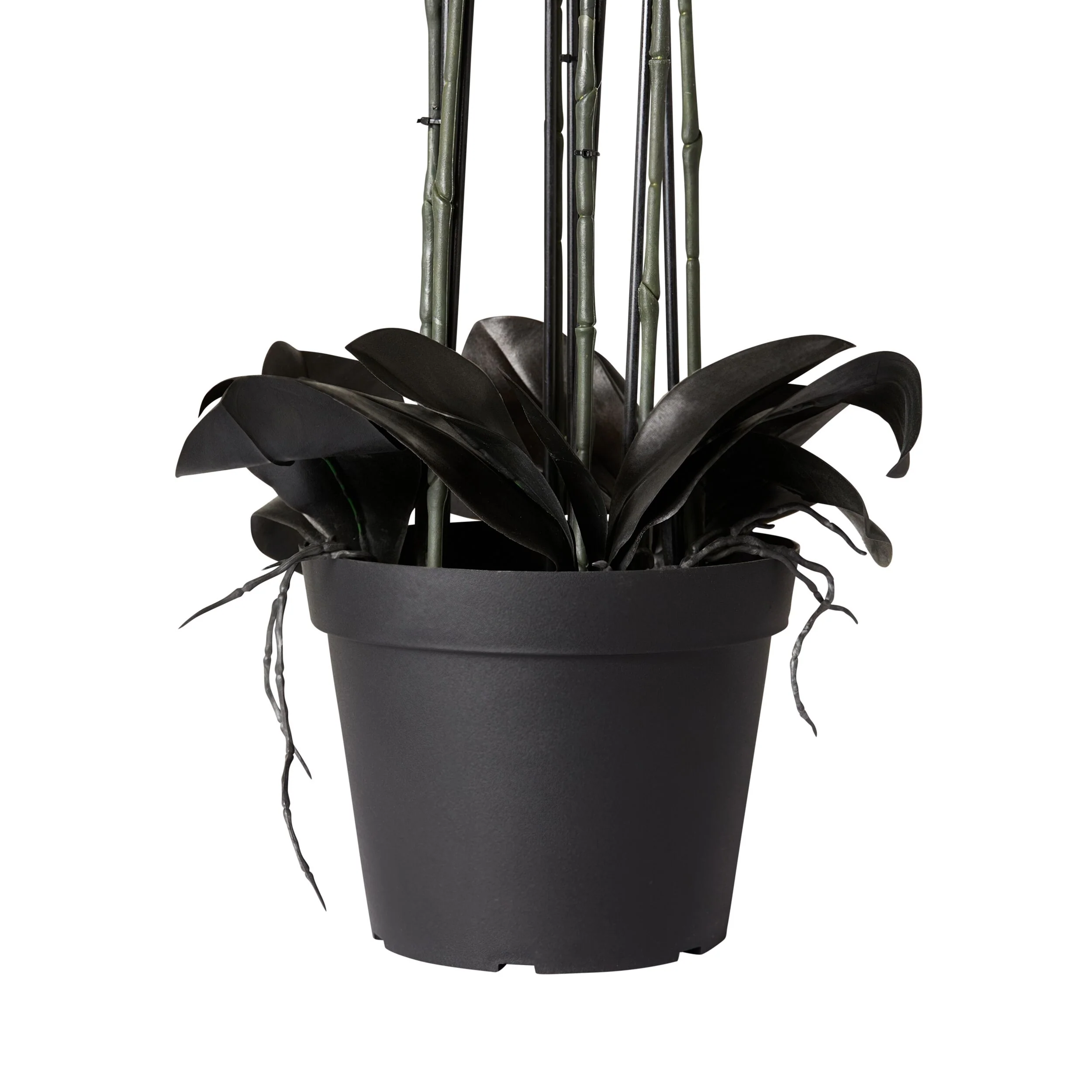 Fiore Black Orchid 8 Stems 90cm - Image 2