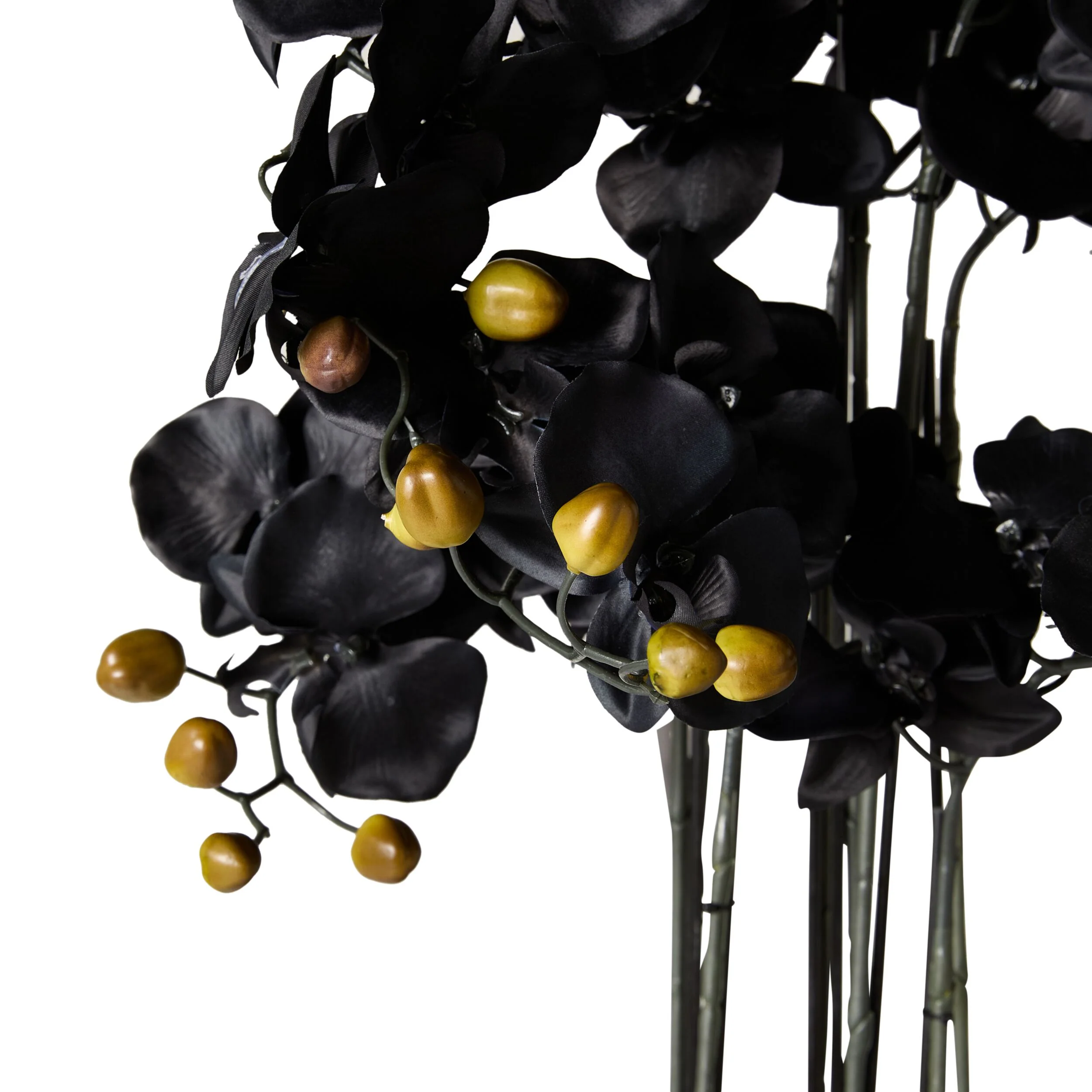 Fiore Black Orchid 8 Stems 90cm - Image 3