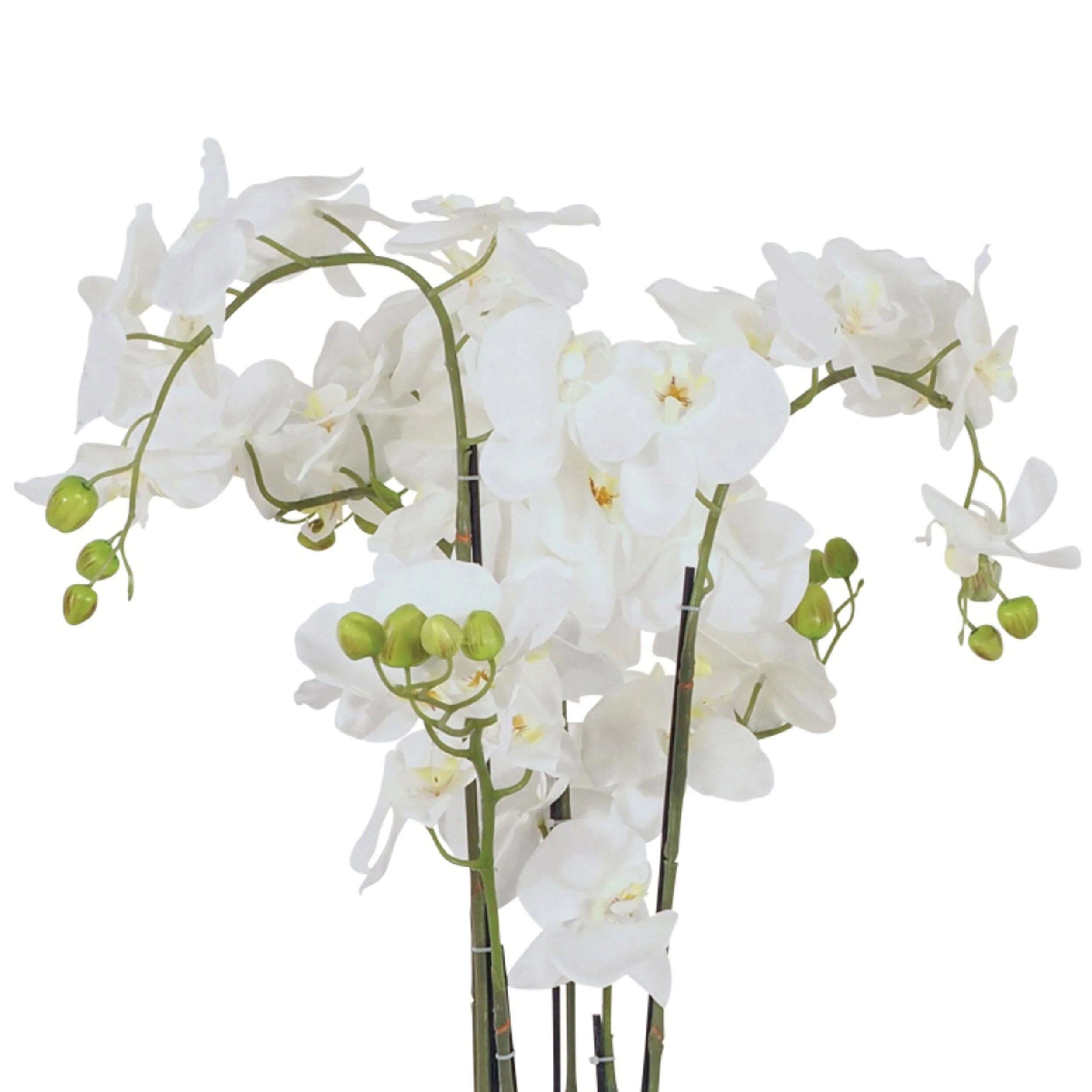 Fiore Orchid 6 Stems 88cm - Image 2
