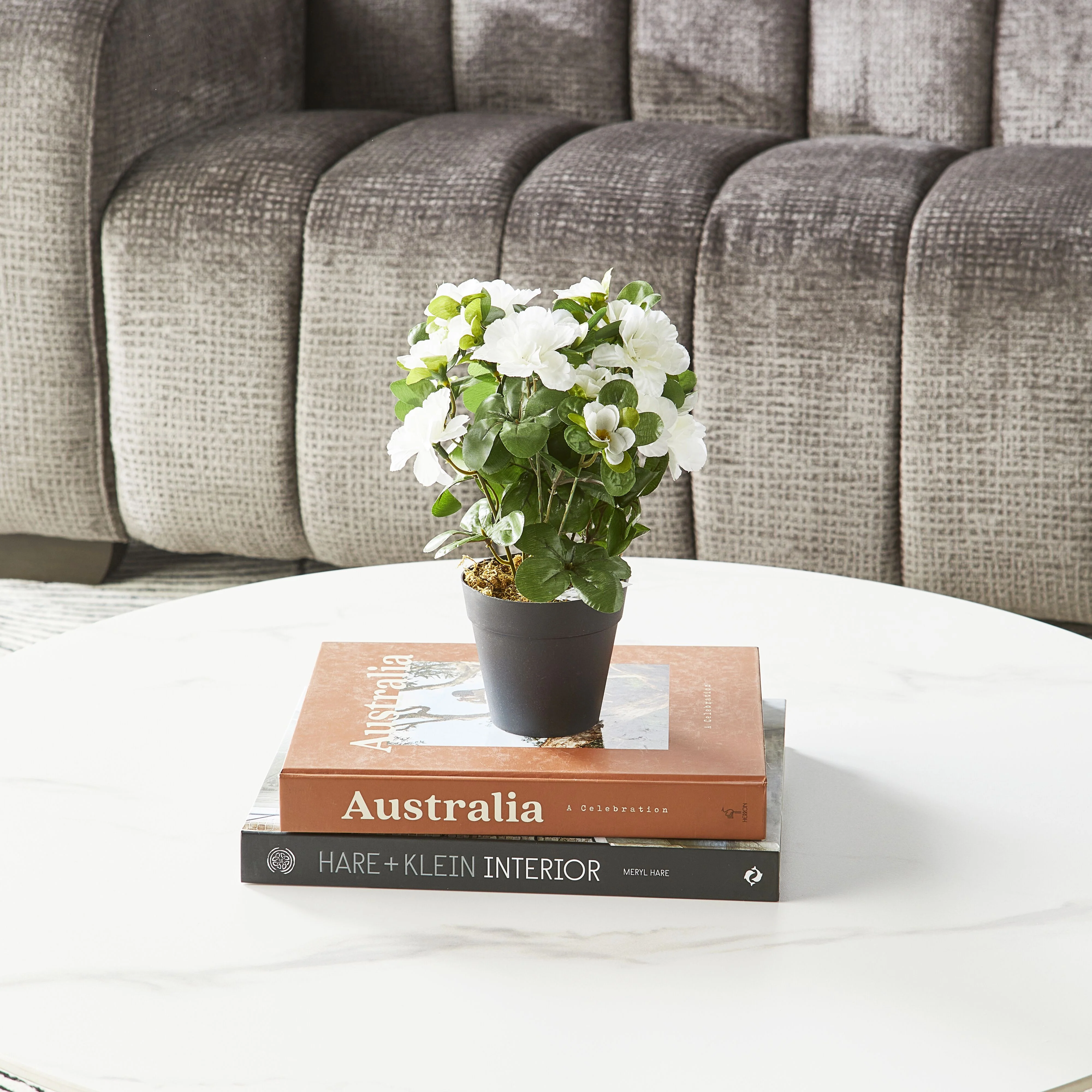 Floret Azalea In Pot 28CM - Image 2