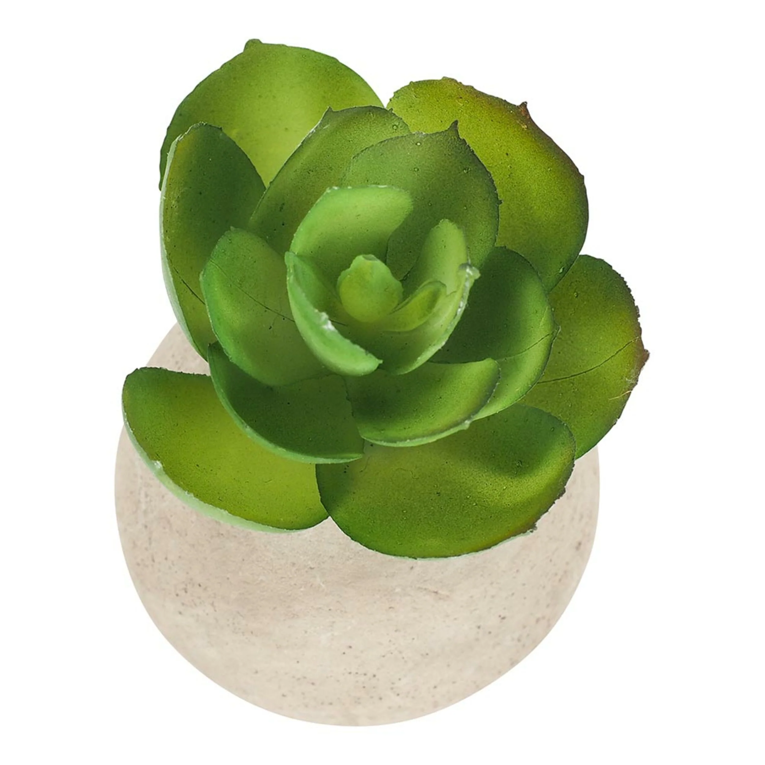 Floret Cactus In Pot 1 7x4.5cm - Image 2