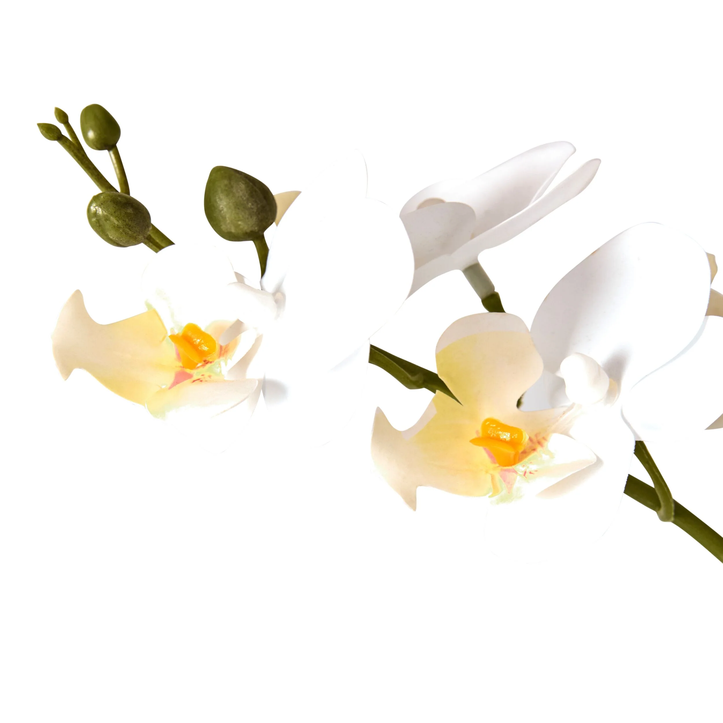 Floriana White Orchid Cutting Vase - Image 2