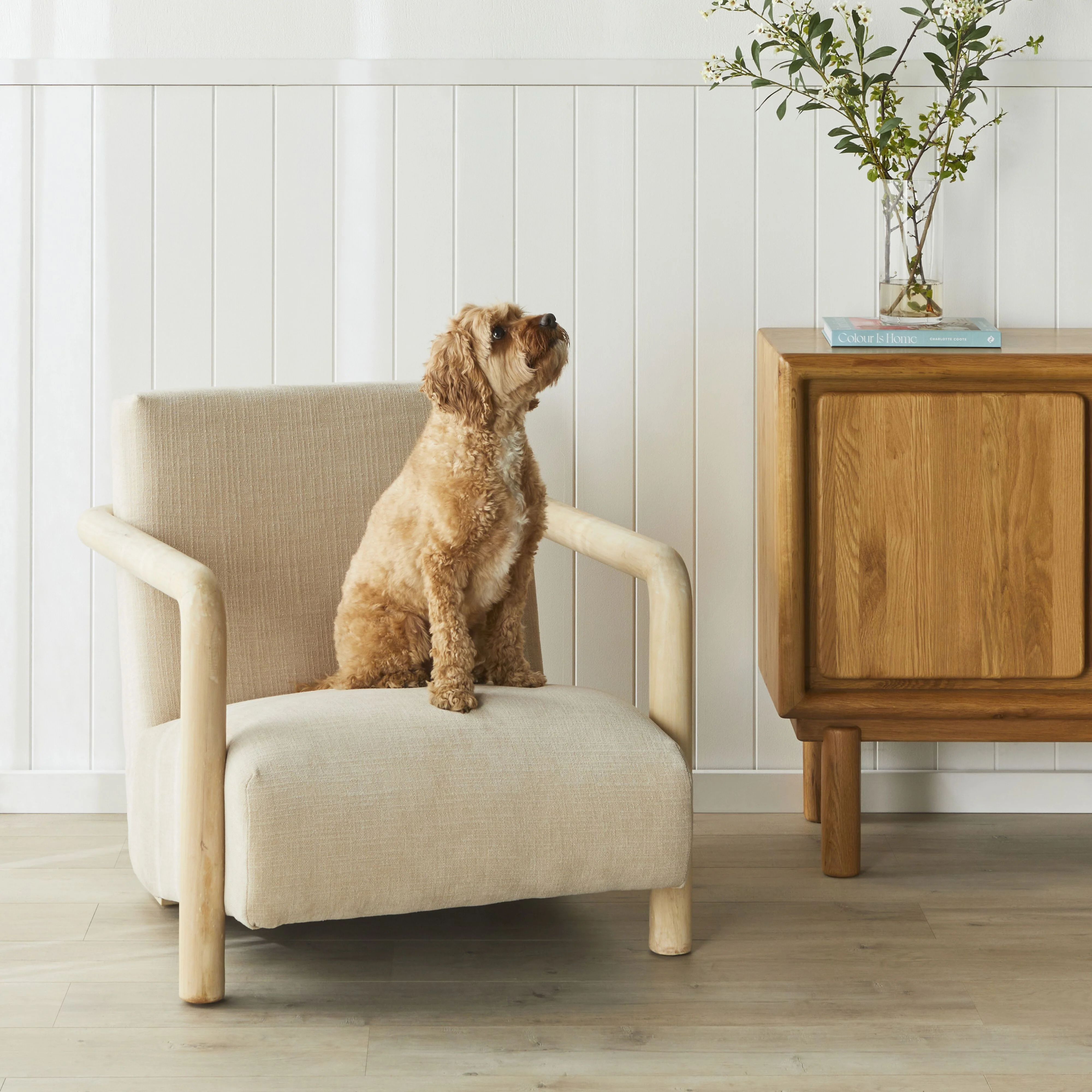 Gia Occasional Chair Solace Oat - Image 11