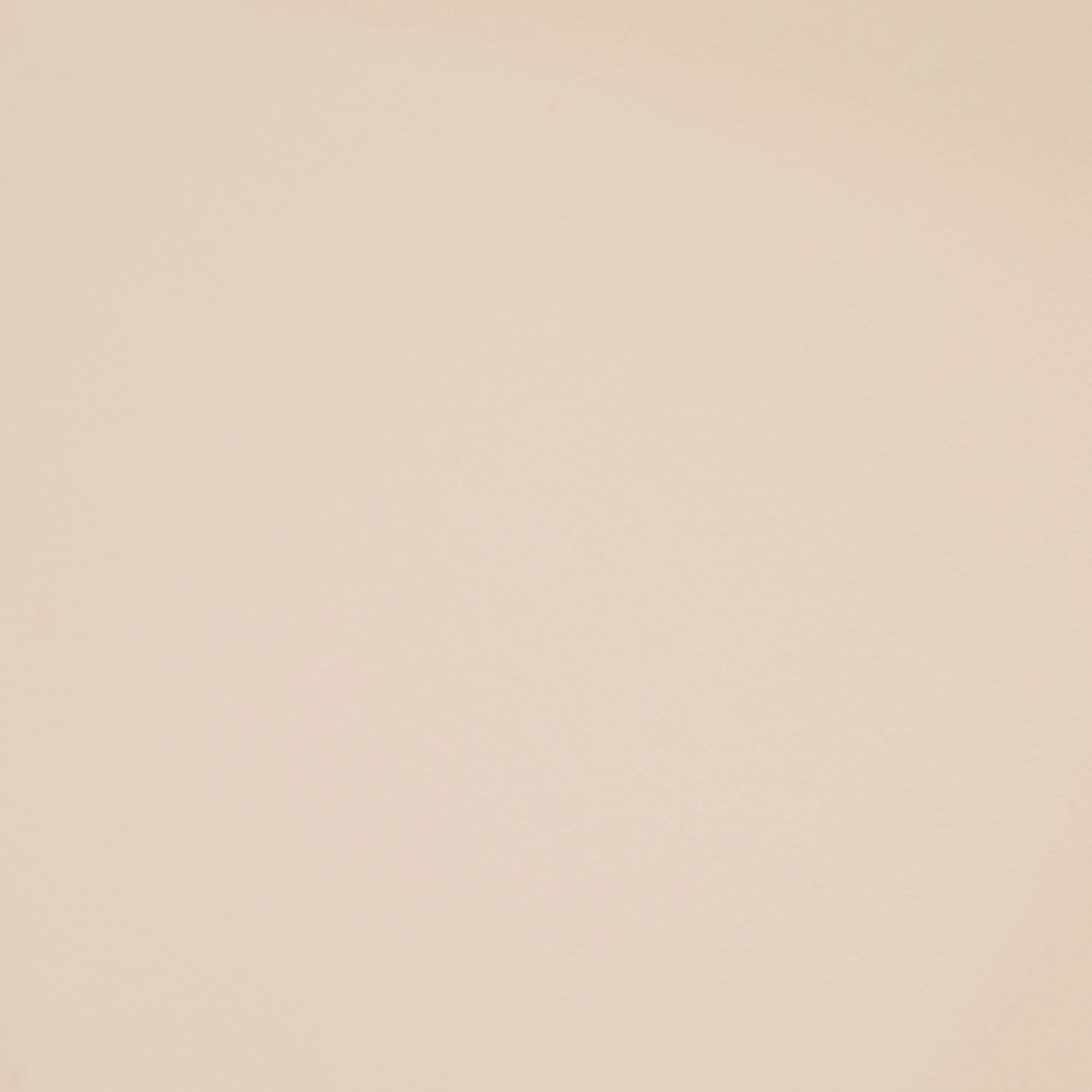 Inigo Dining Chair Taupe - Image 6