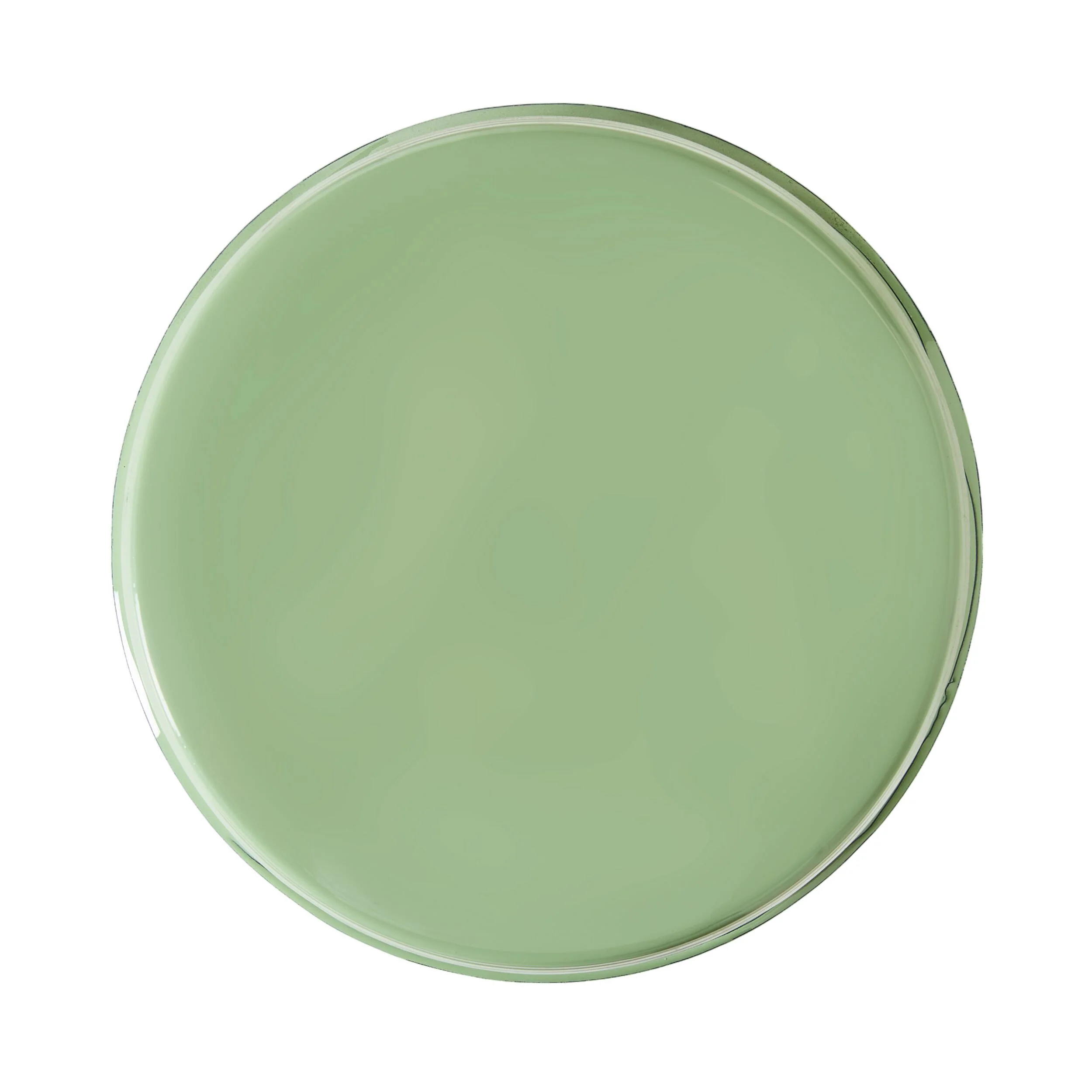 June Side Table Laurel Green - Image 2
