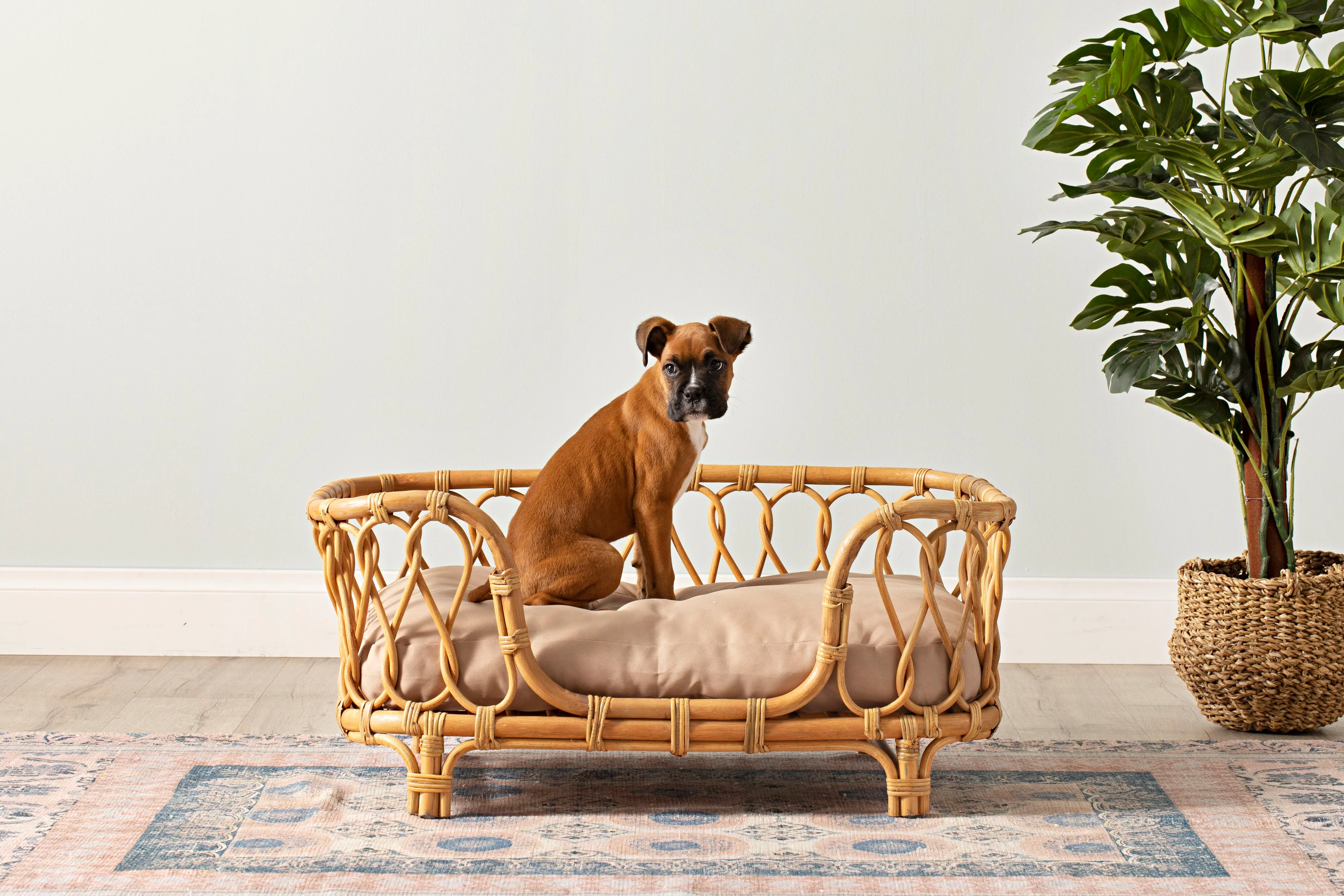 Kahlua Twist Rattan Pet Bed 90x55x40cm - Image 7