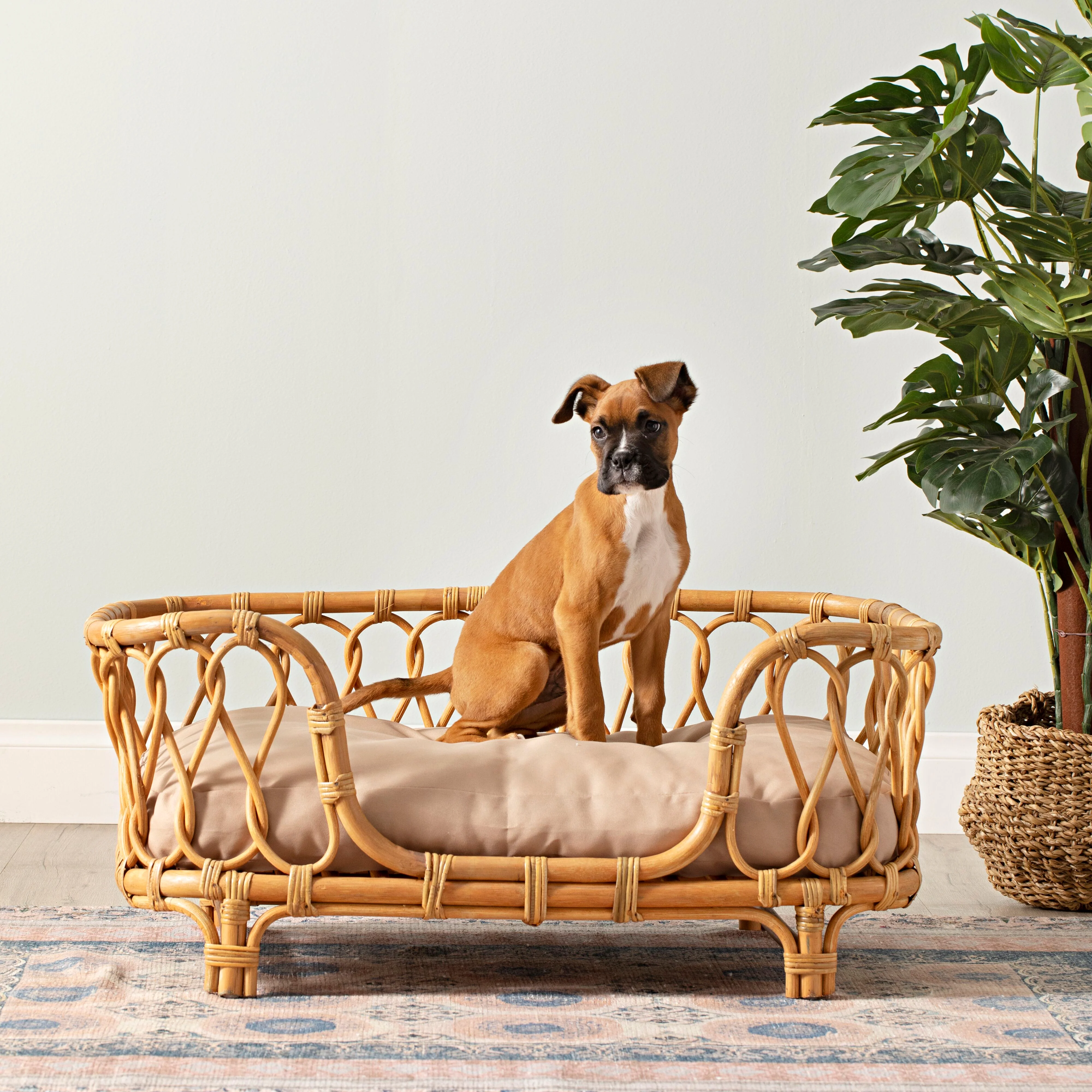 Kahlua Twist Rattan Pet Bed 90x55x40cm - Image 8
