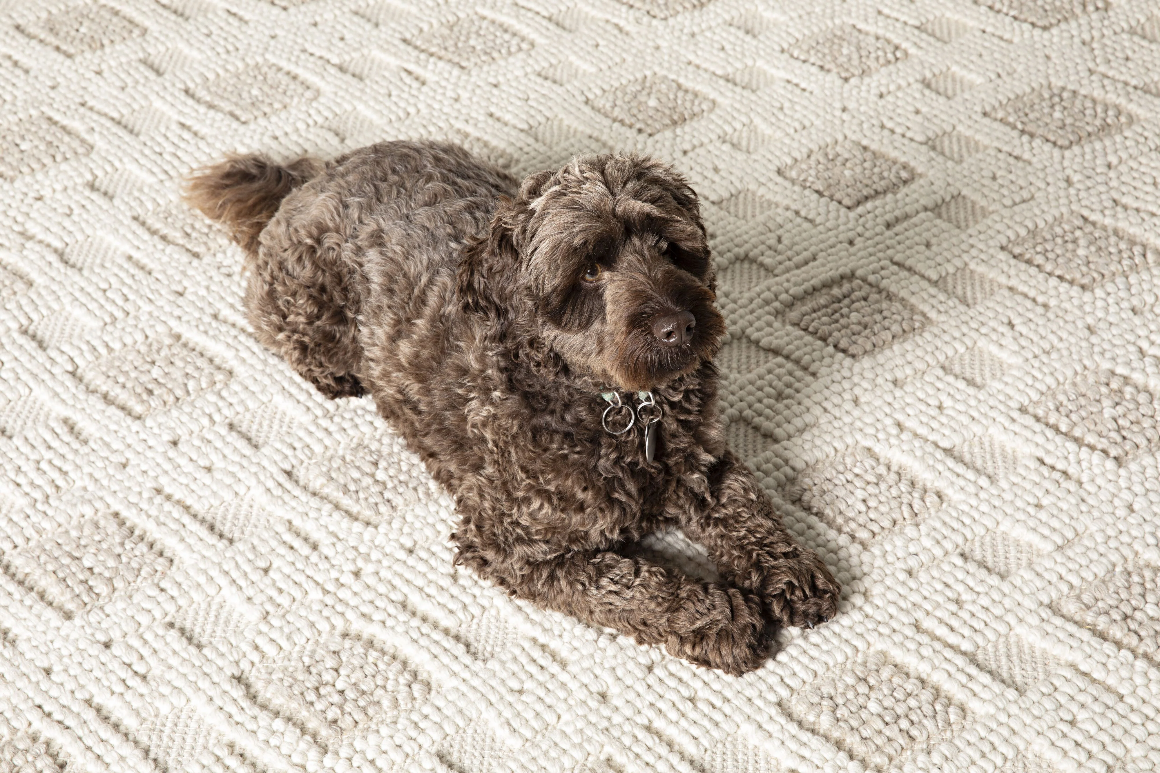 Layla Diamond Hand-Woven Wool Blend Natural & Cream Rug 240x150cm - Image 4