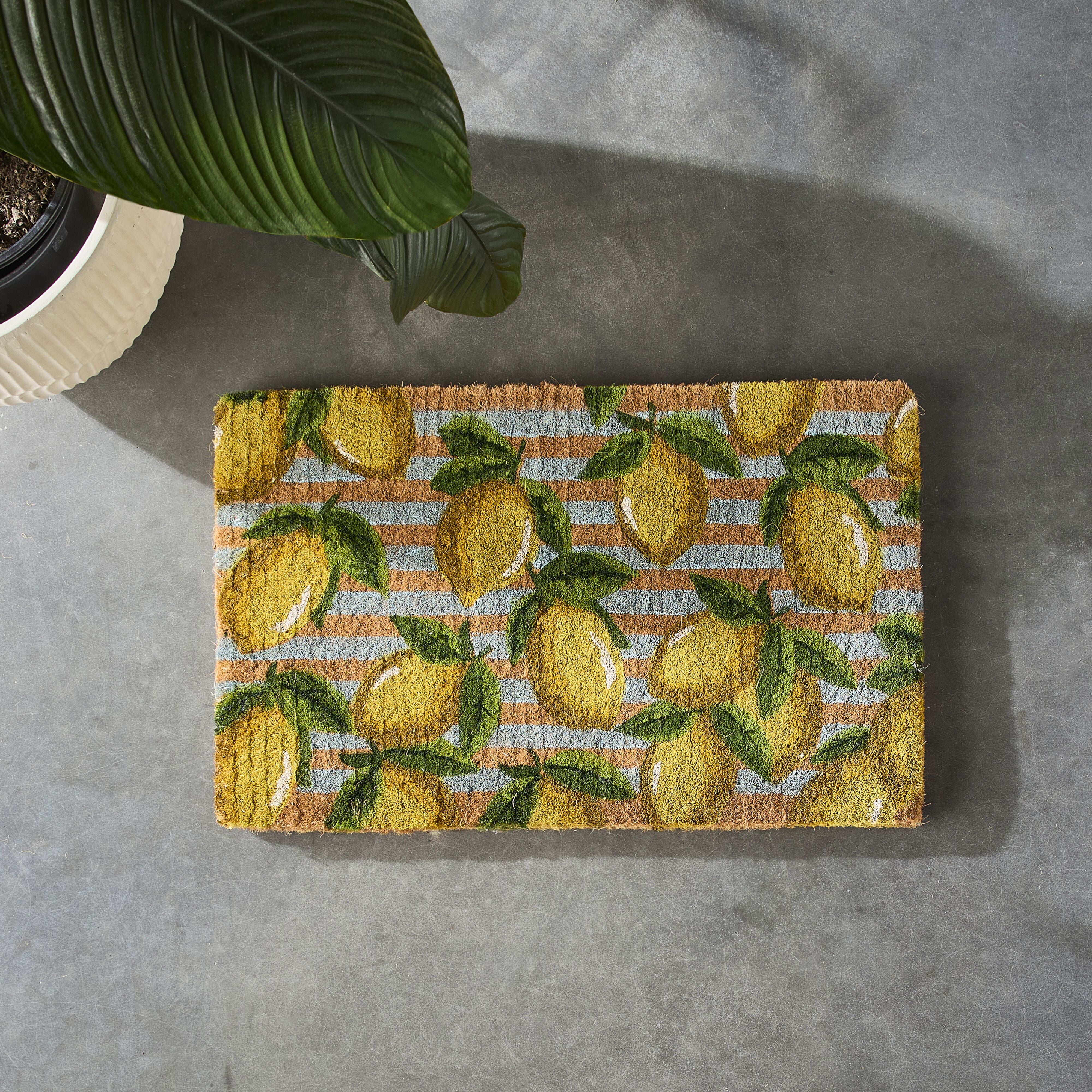 Lemon Crush Coir Doormat 75x45cm - Image 3