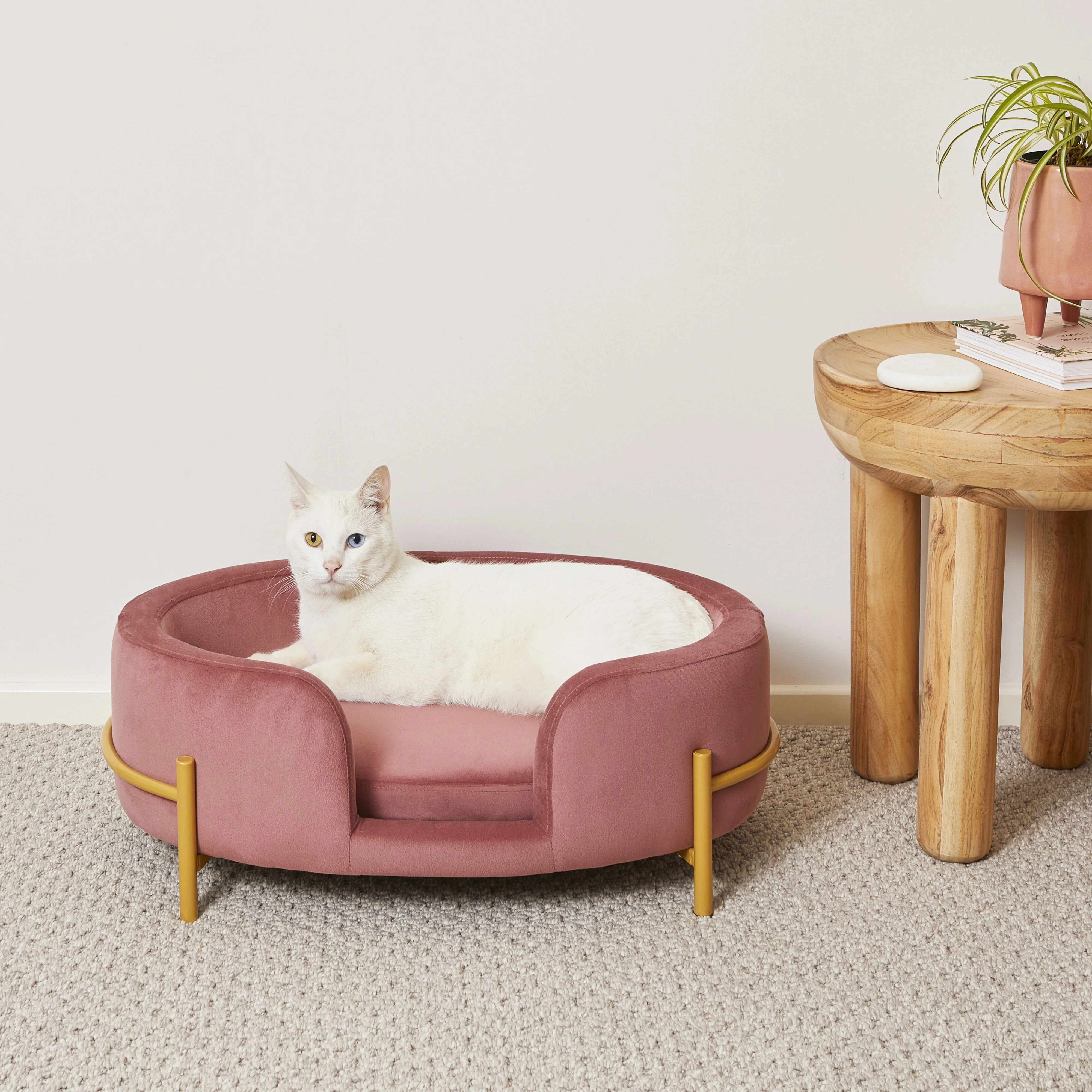 Oval Velvet Pet Bed Rose 64x41x24cm - Image 6