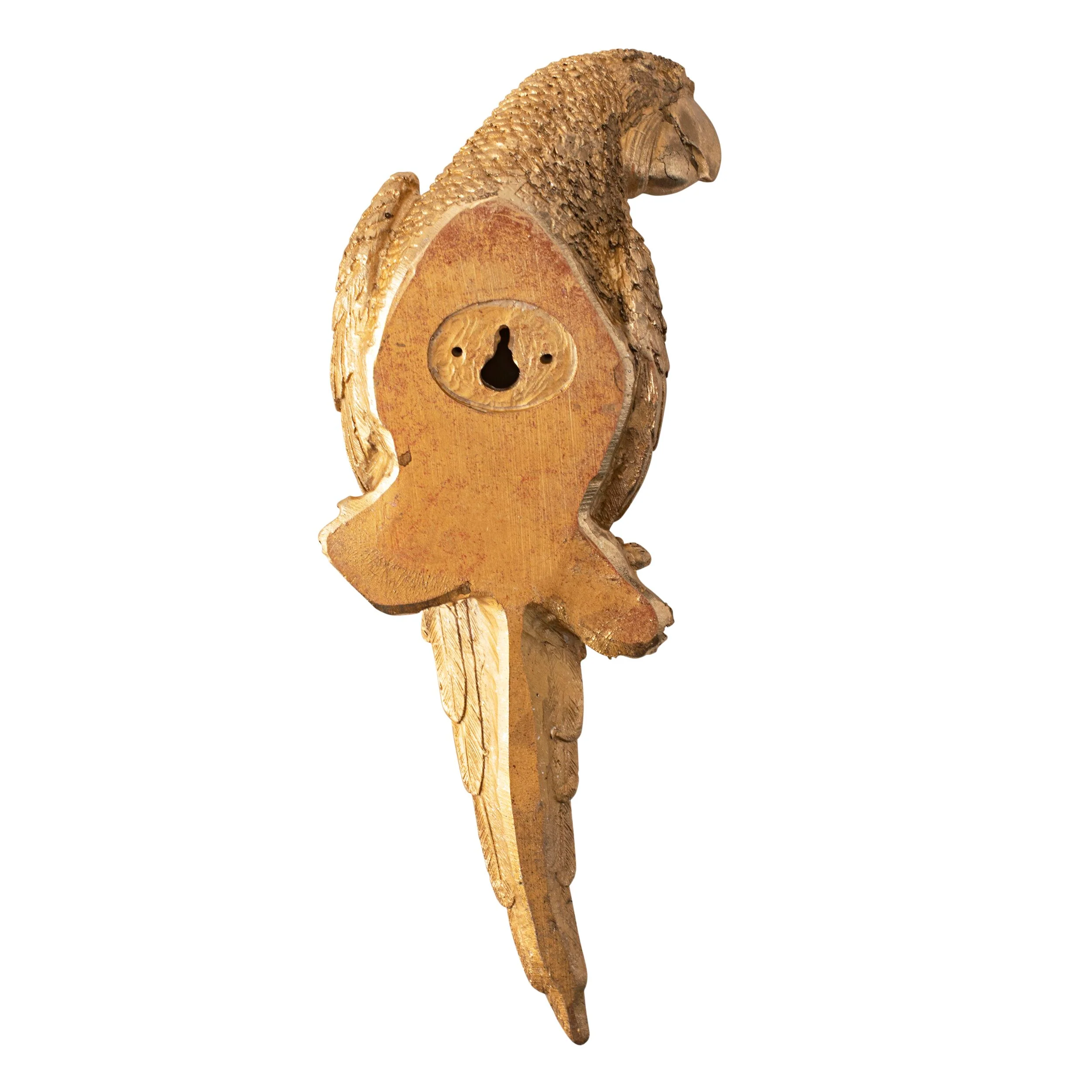 Poly Parrot Polyresin Wall Deco 35x11.5x8.5cm - Image 3