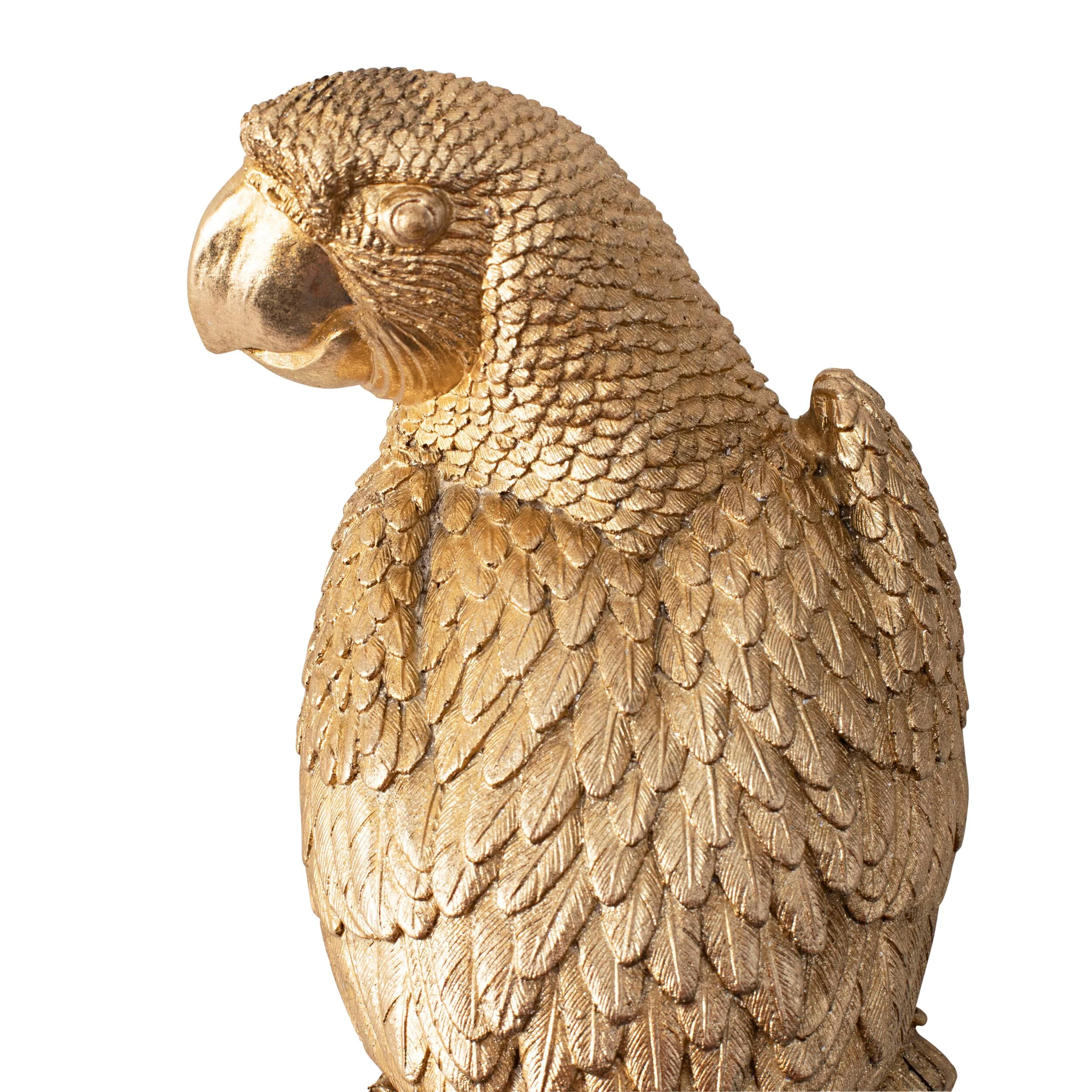 Poly Parrot Polyresin Wall Deco 35x11.5x8.5cm - Image 4