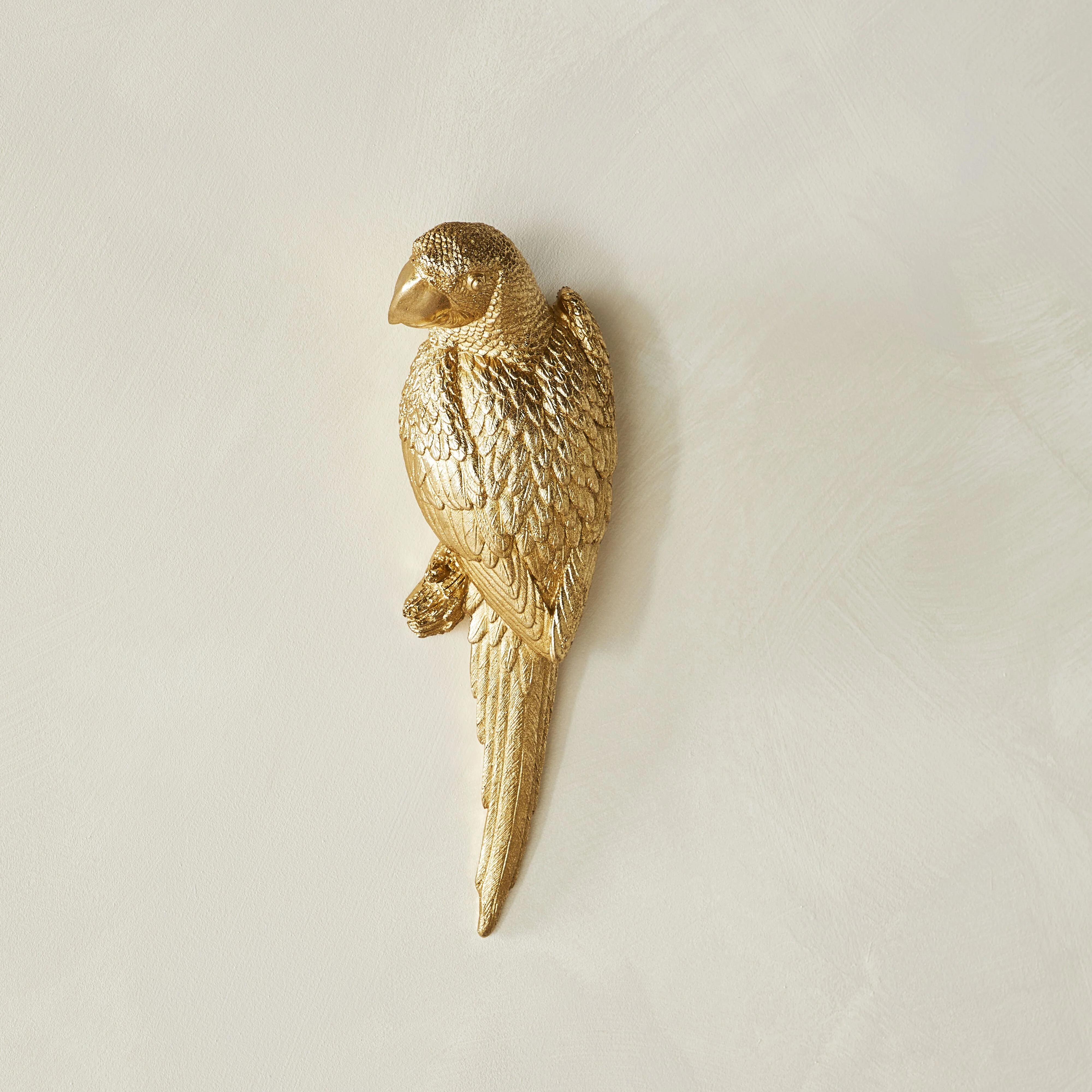 Poly Parrot Polyresin Wall Deco 35x11.5x8.5cm - Image 5