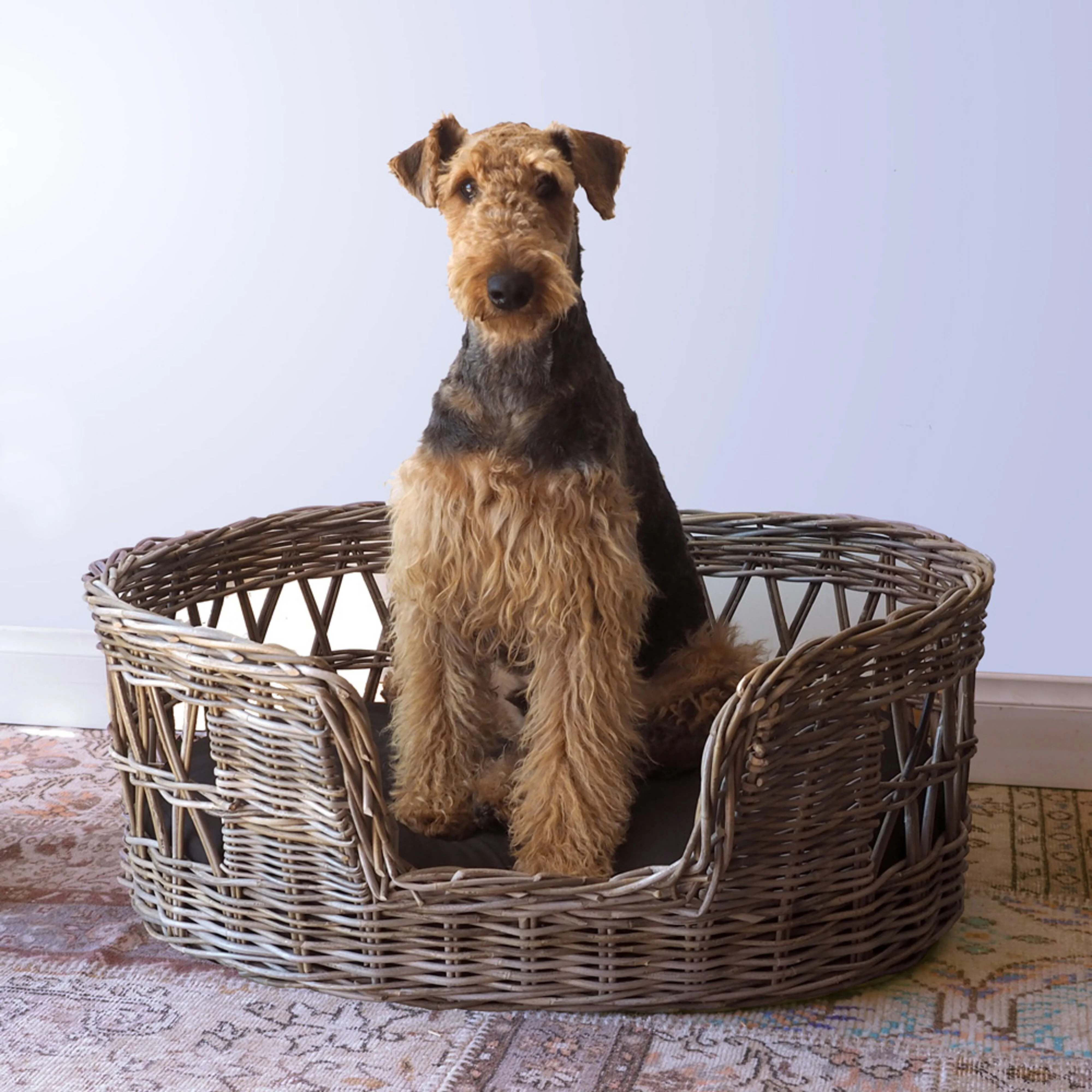 Savona Dog Bed Medium 85x60x35cm - Image 8