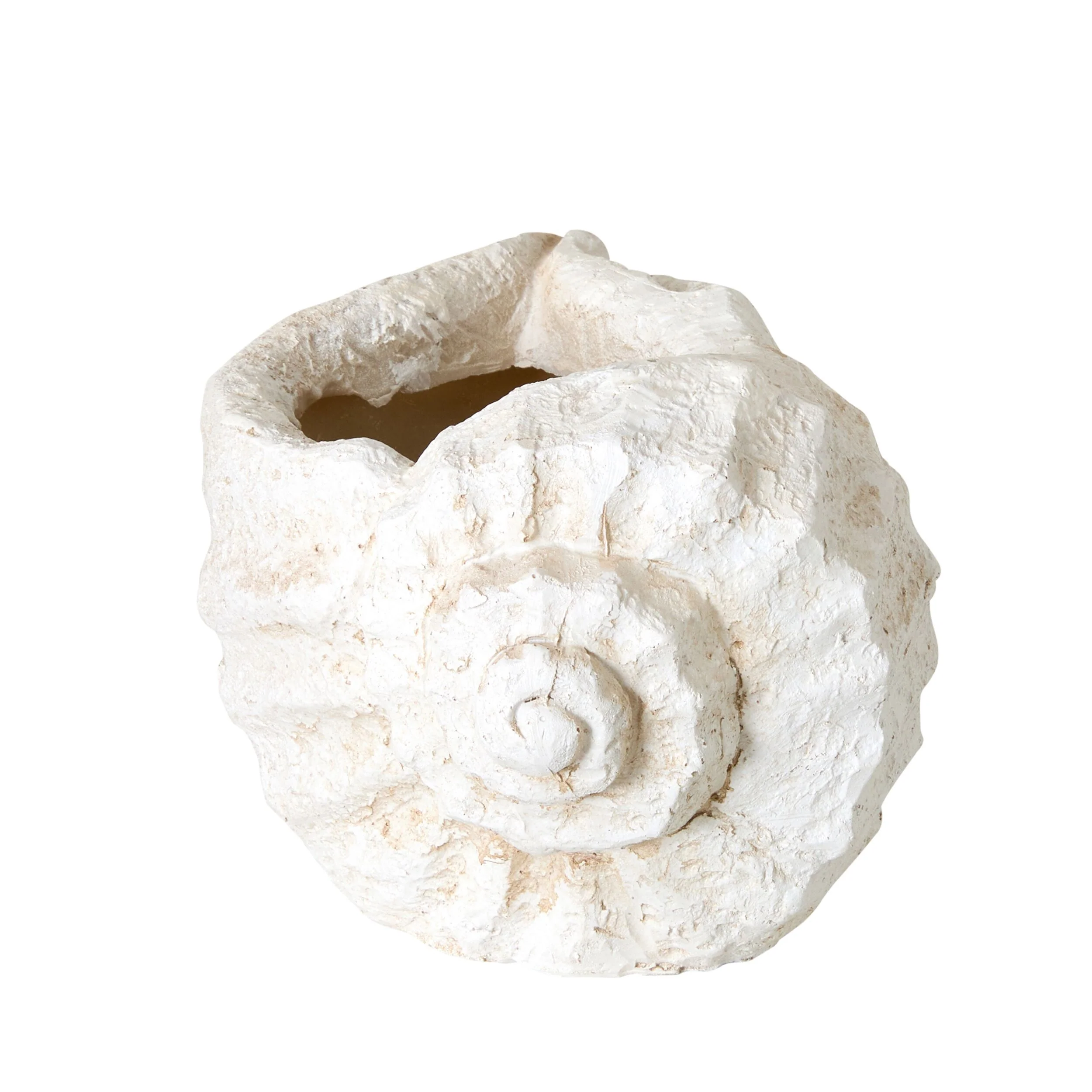 Seashell Planter - Image 4