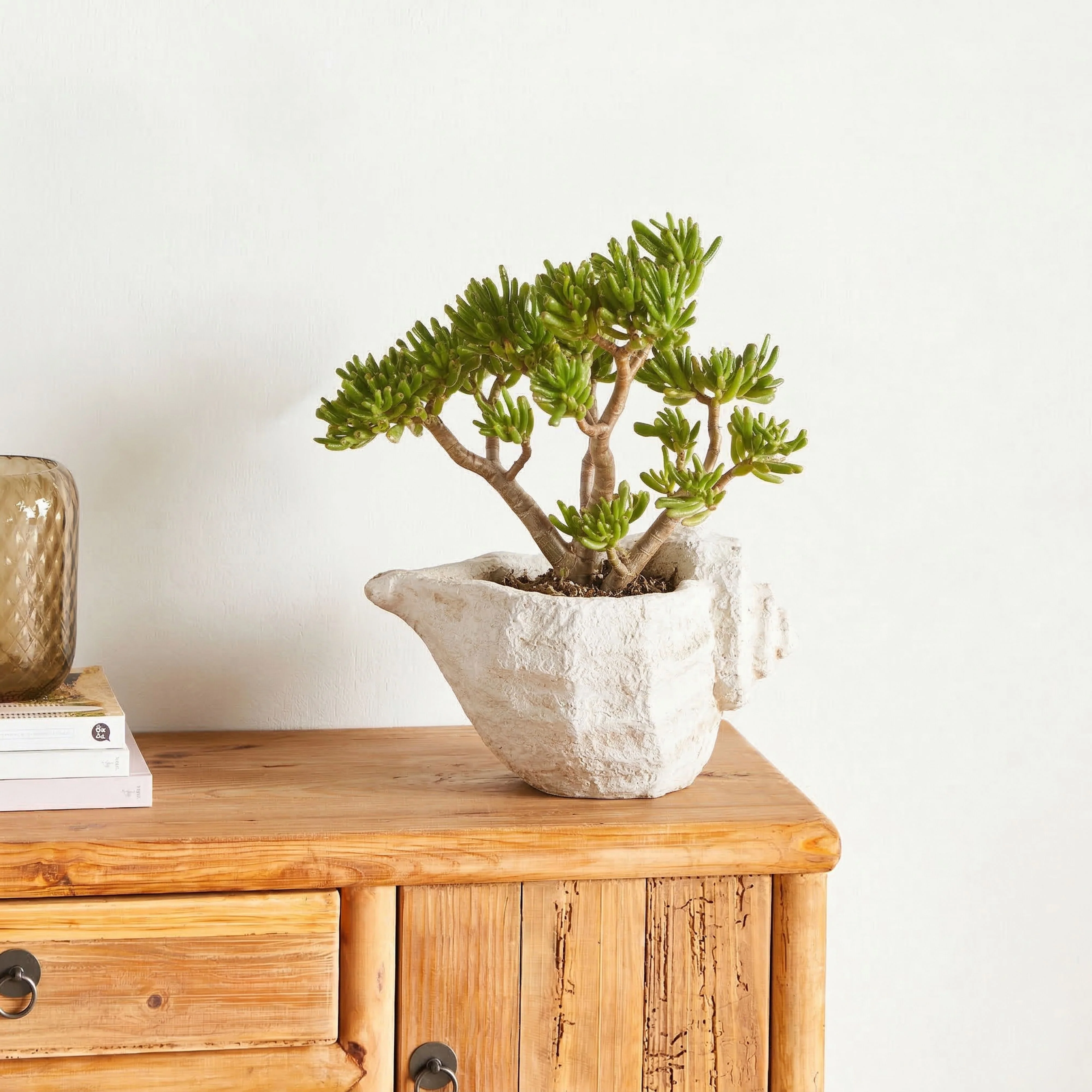 Seashell Planter - Image 7