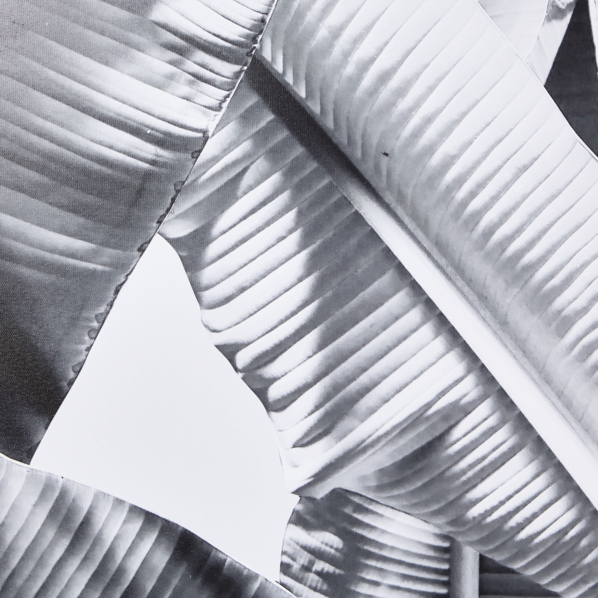 Shady Palms Canvas Print 70x105cm - Image 2