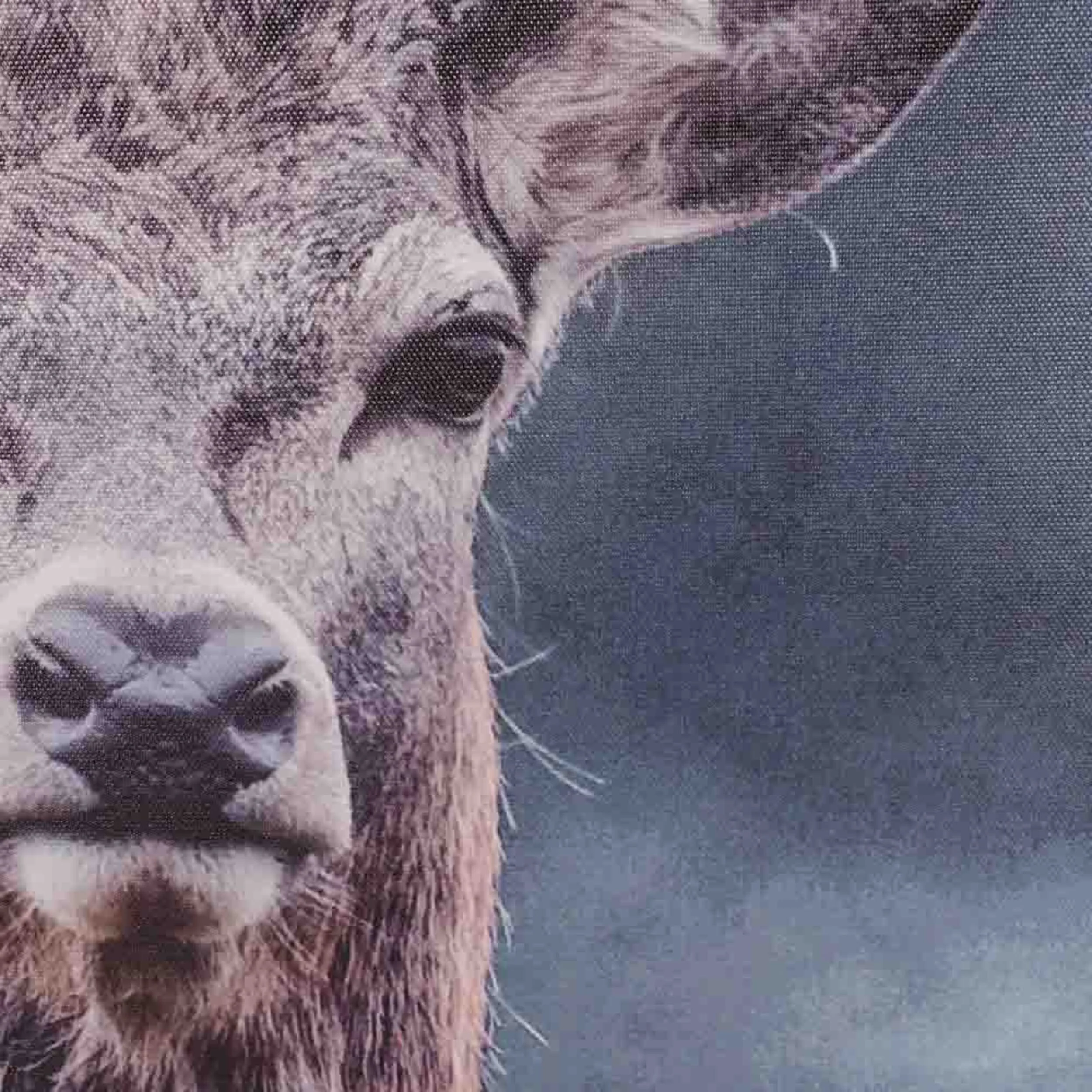 Simon The Stag Canvas Print 150x100cm - Image 2